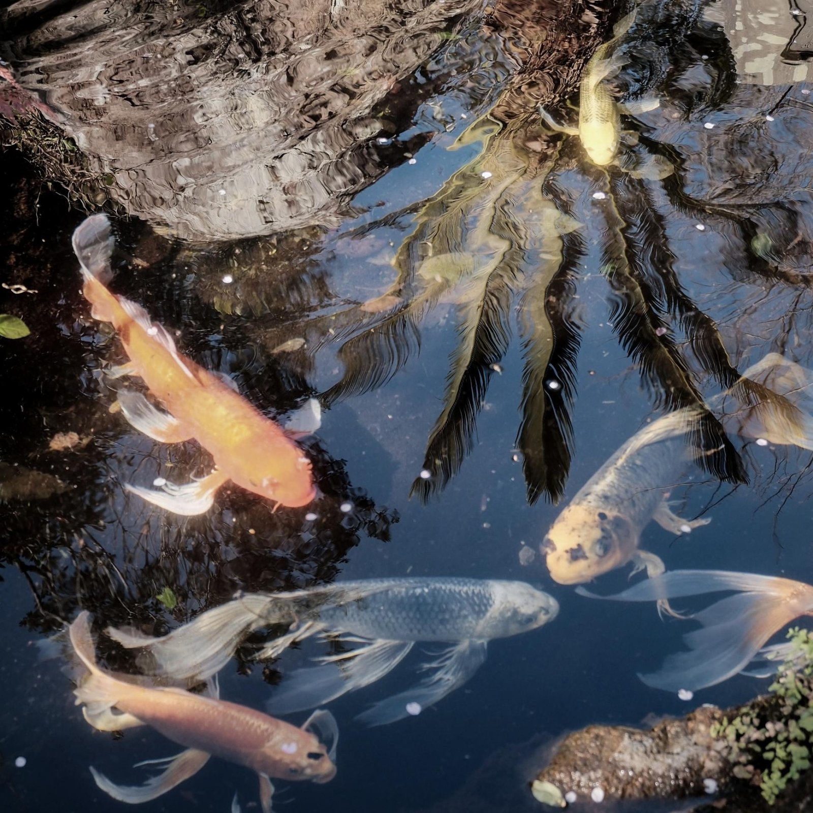 London Photography Awards Winner - Where Water Remembers