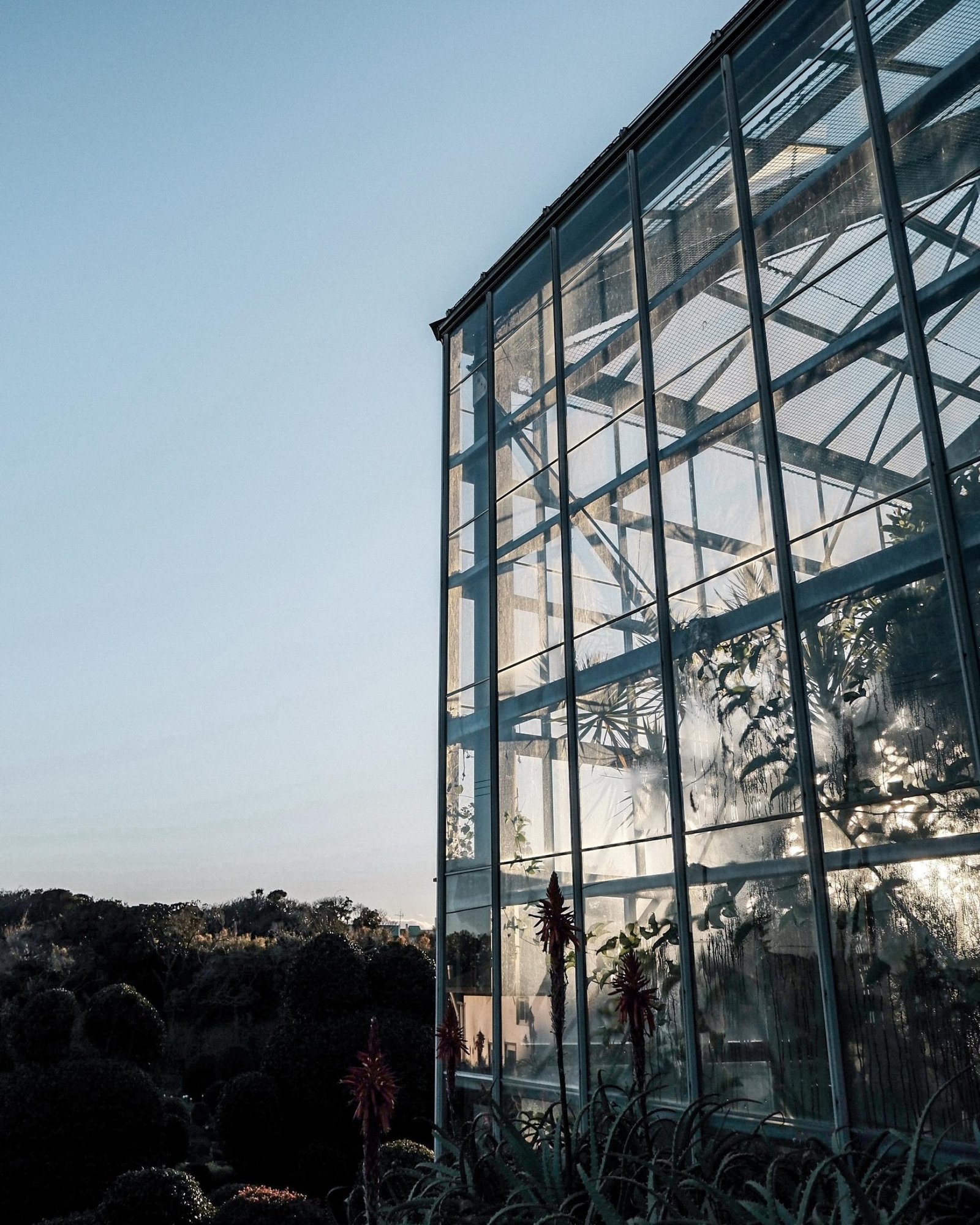 London Photography Awards Winner - Transparent Threshold