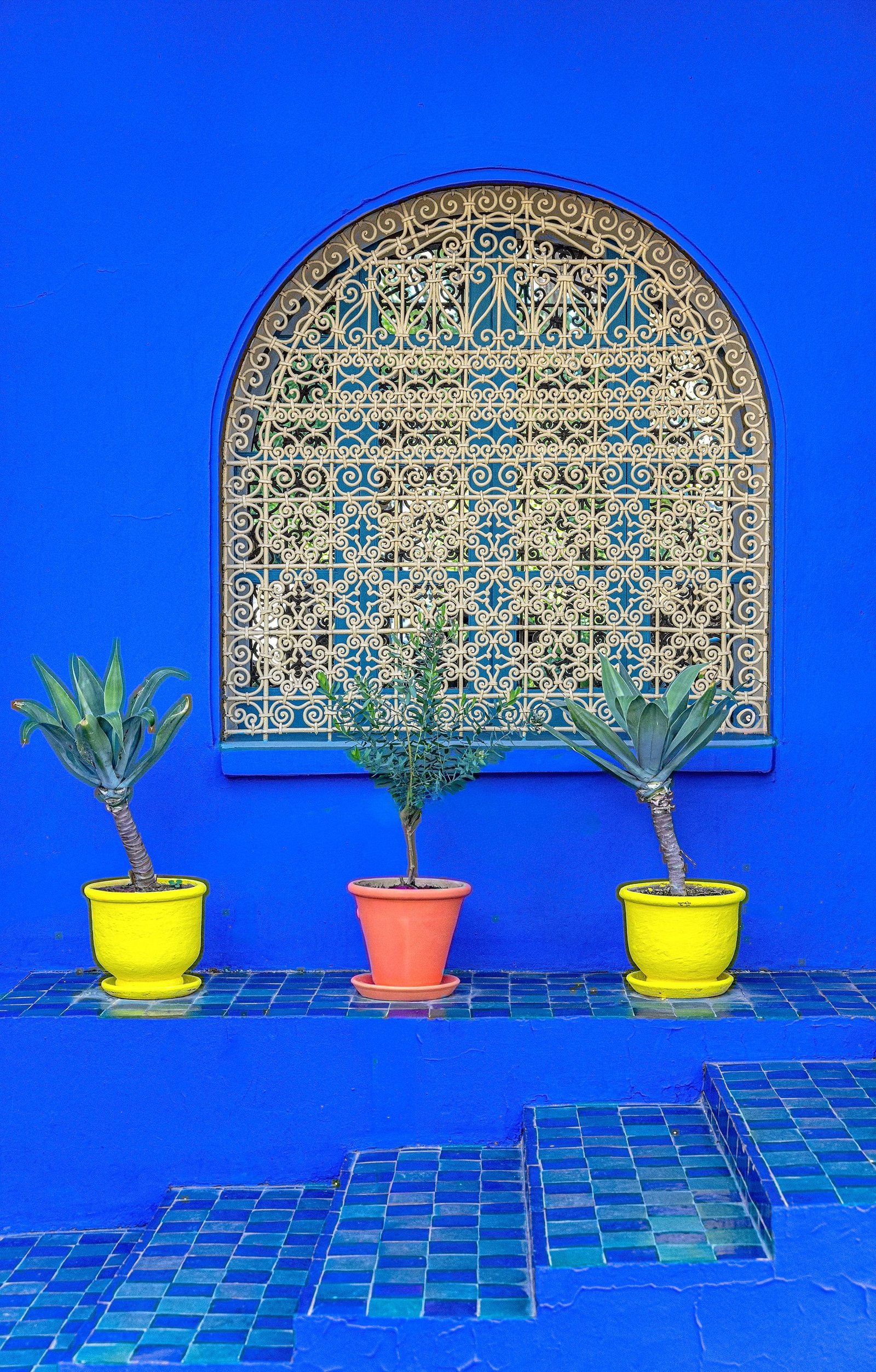 London Photography Awards Winner - Berber Museum Tableaux