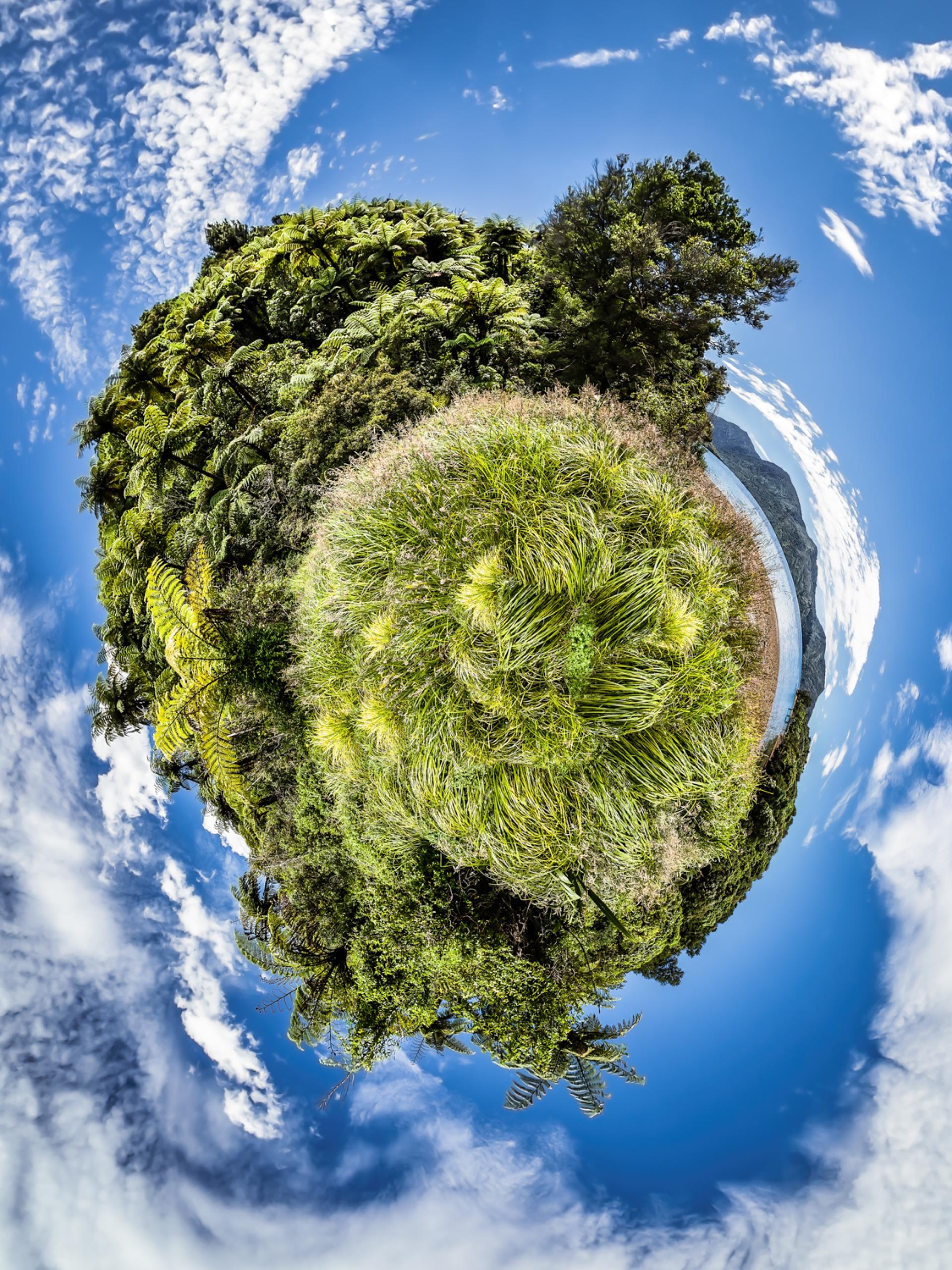 London Photography Awards Winner - What a Wonderful World