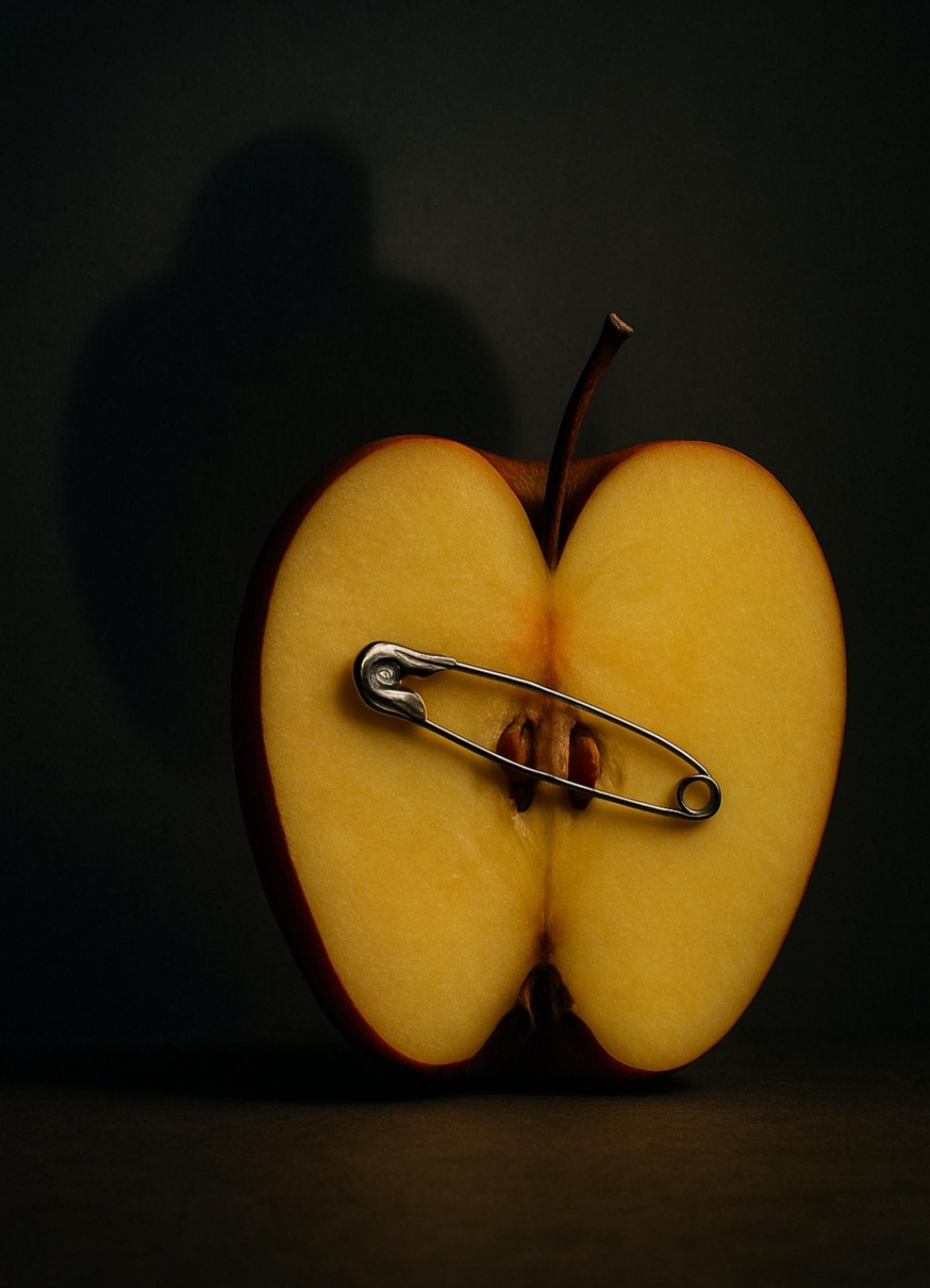 London Photography Awards Winner - Domestic Paradoxes 