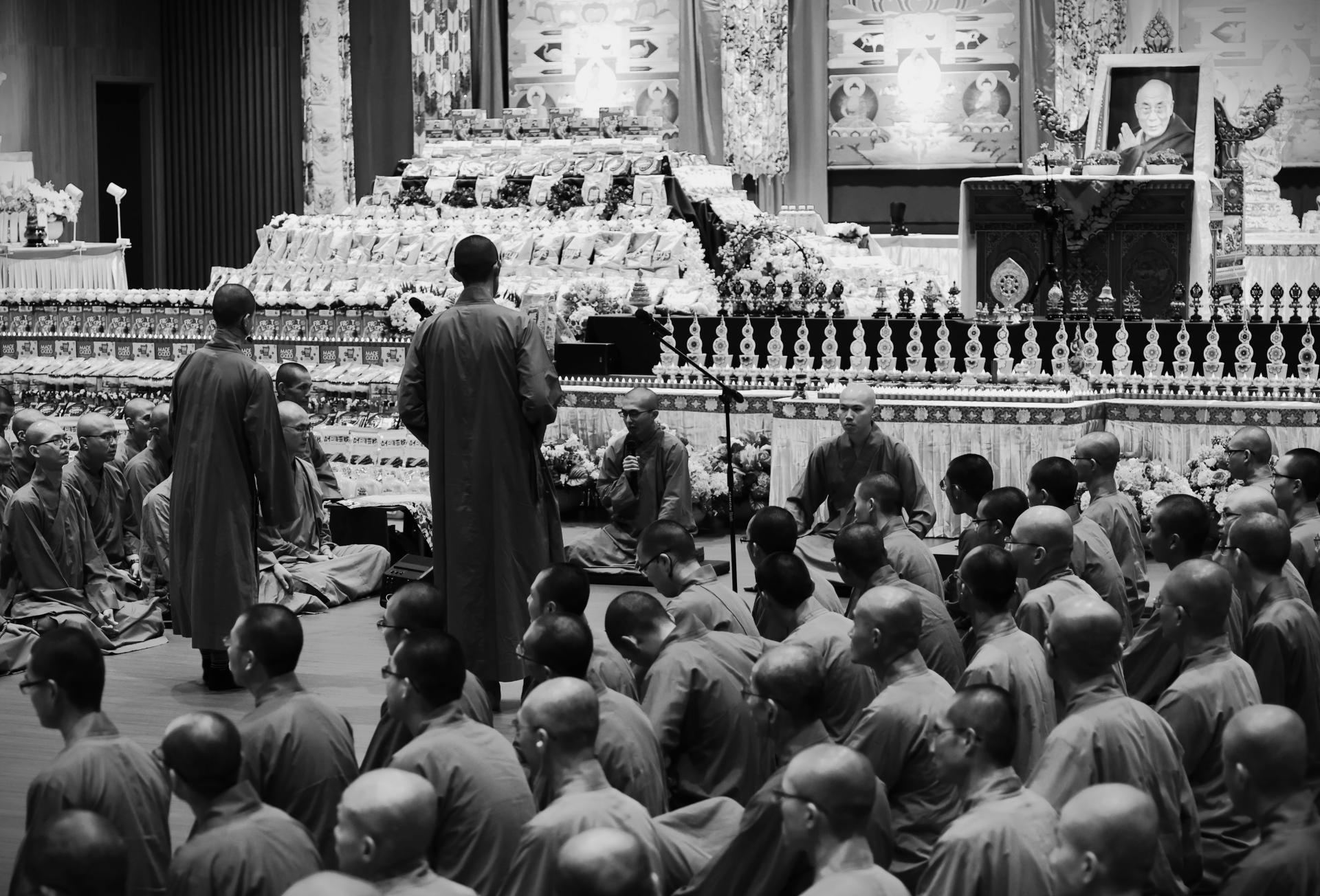 London Photography Awards Winner - The Debate of Discipline