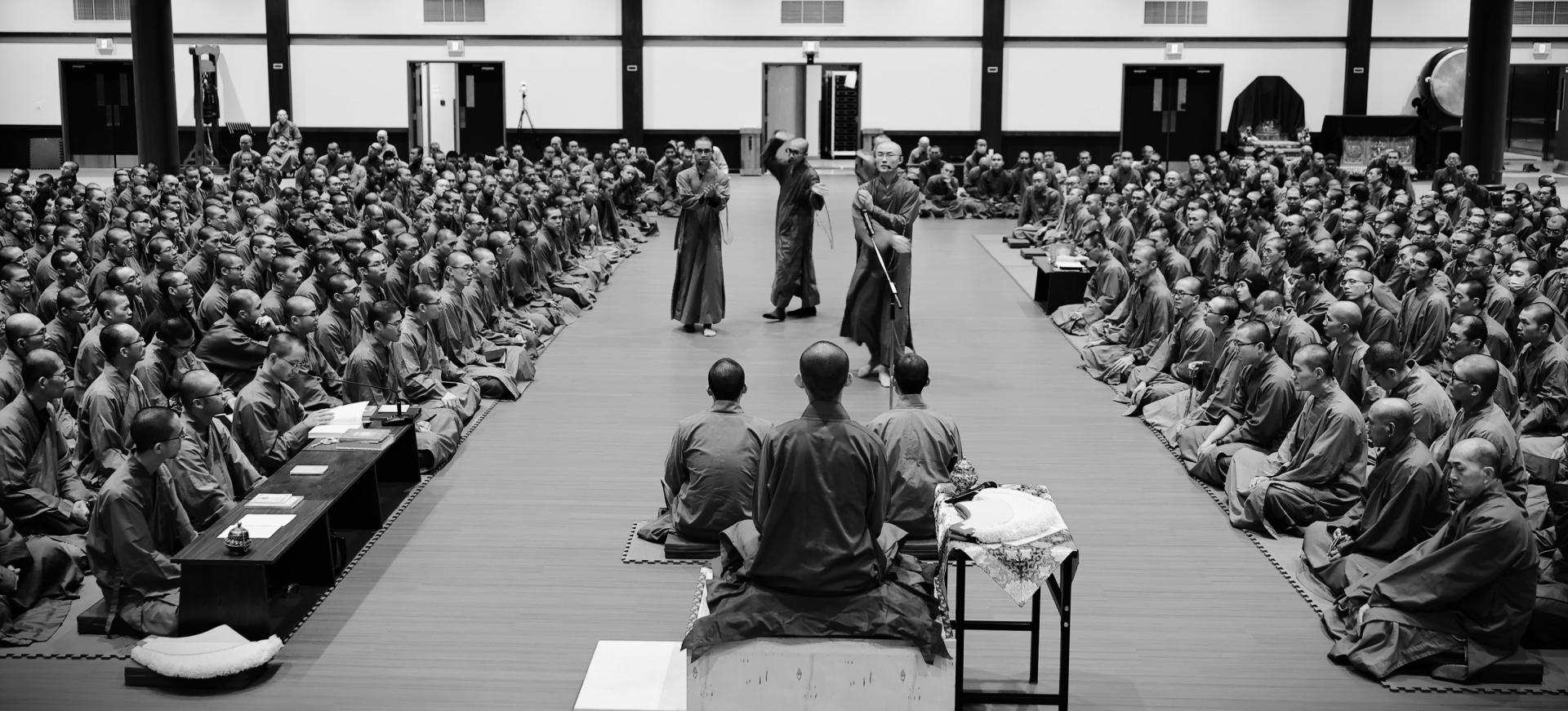 London Photography Awards Winner - The Debate of Discipline