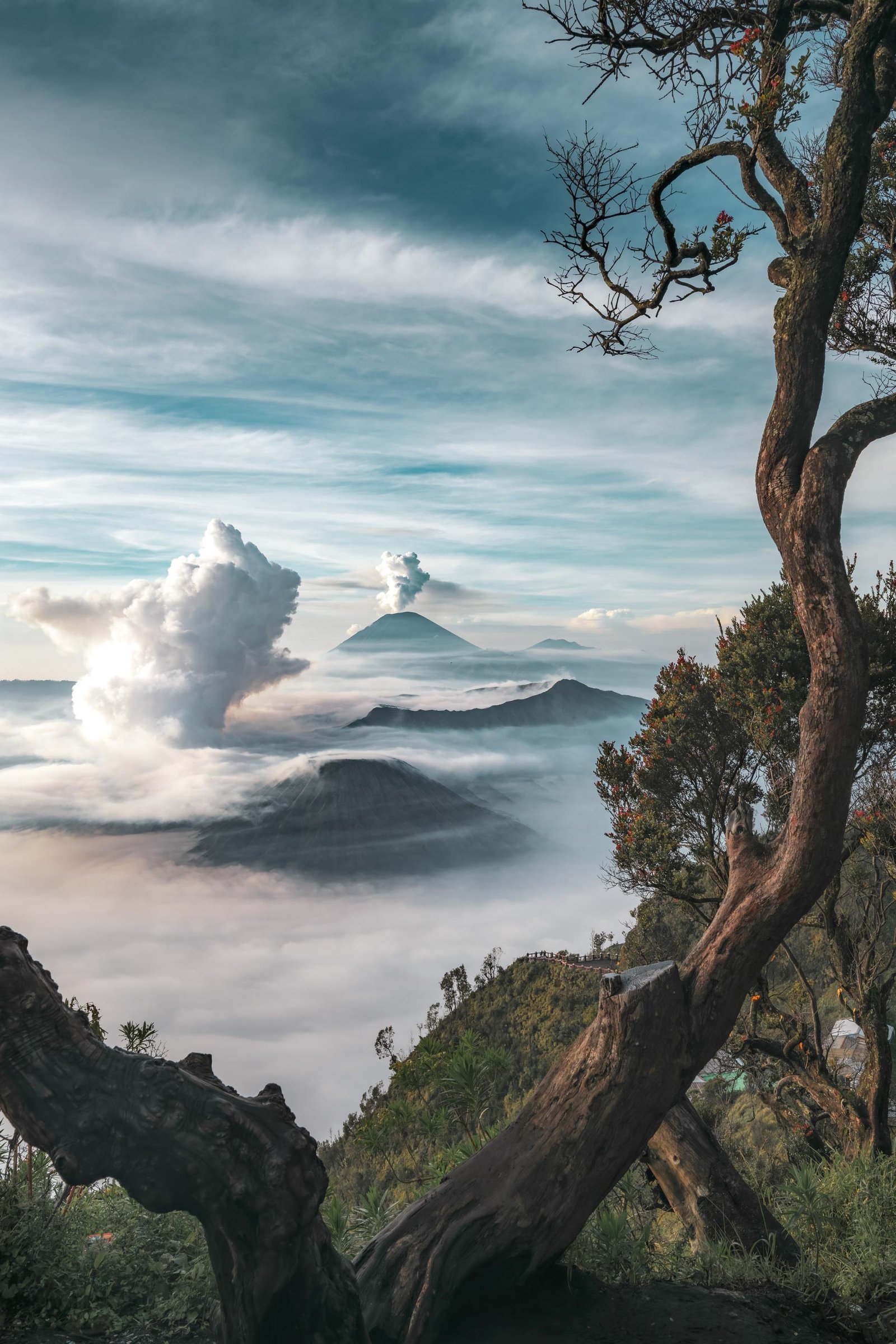 London Photography Awards Winner - Where Earth Breathes
