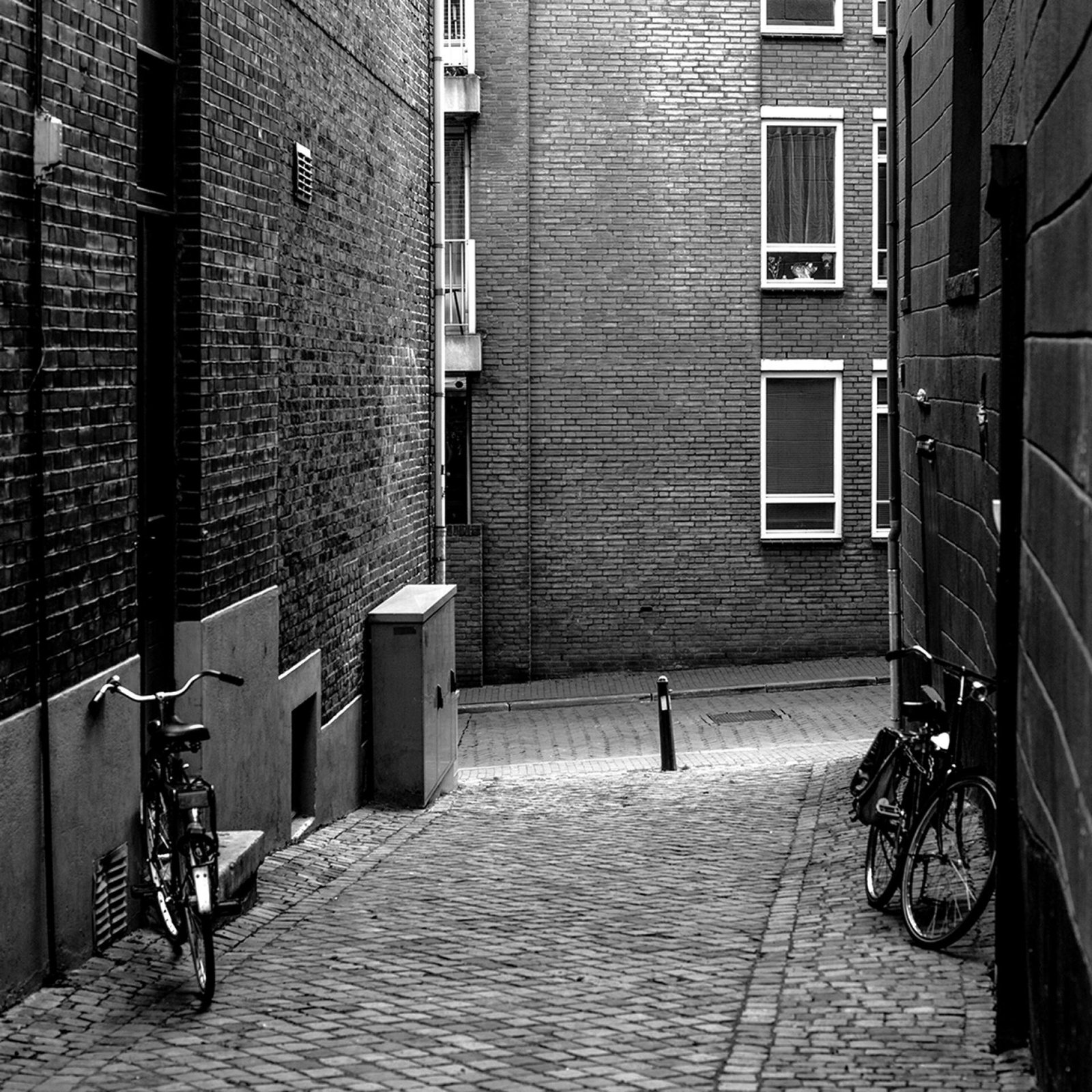 London Photography Awards Winner - Urban Kinetic – Moments of Transient Grace