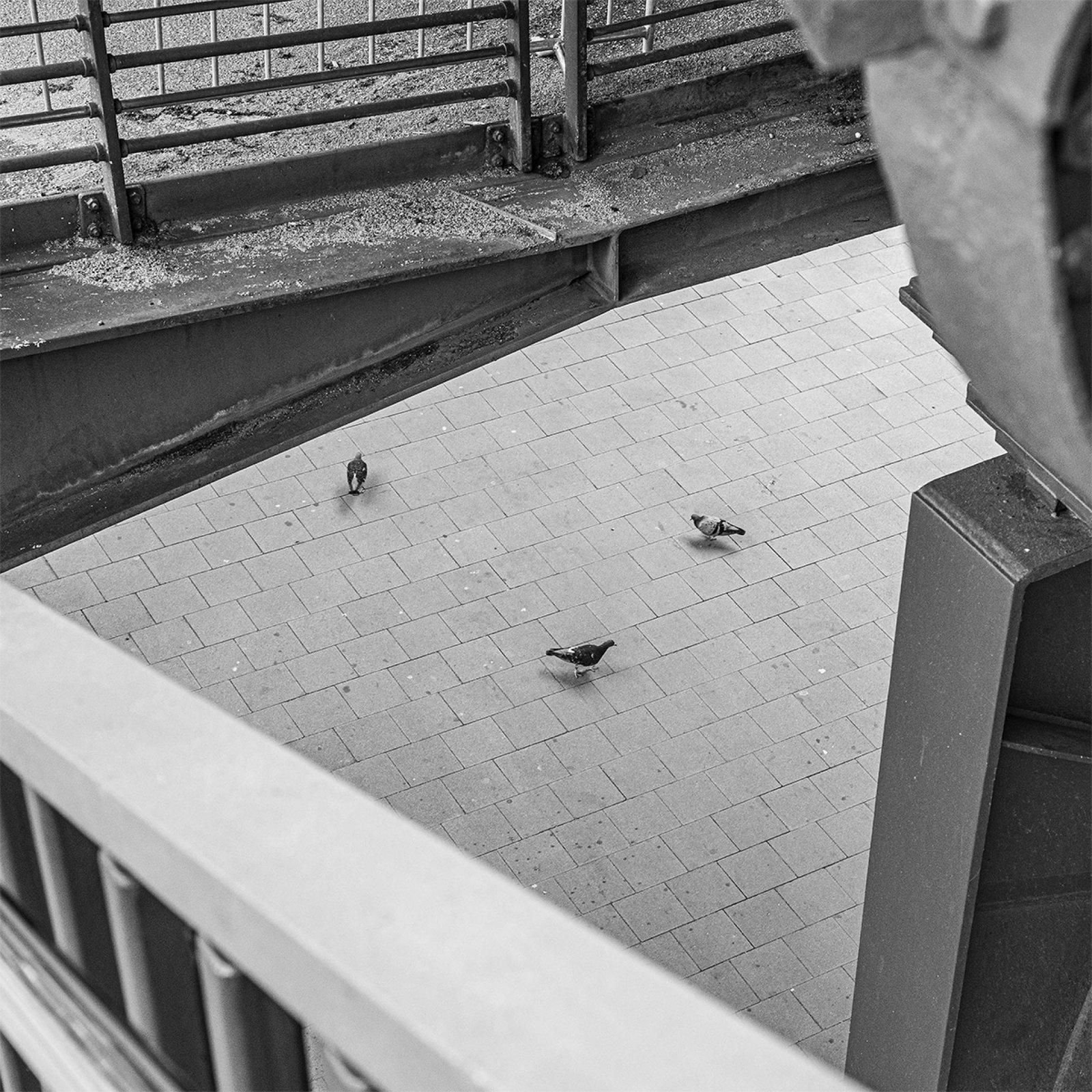 London Photography Awards Winner - Urban Kinetic – Moments of Transient Grace
