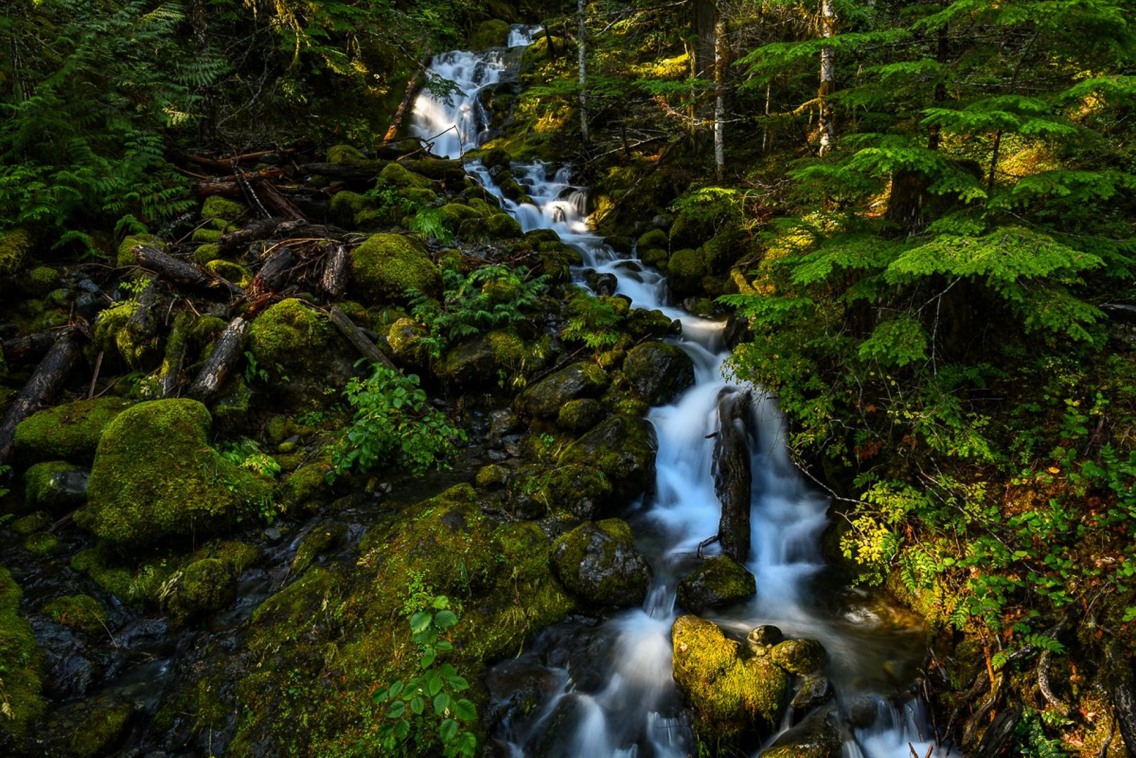 London Photography Awards Winner - Waterfall Below Lena Lake