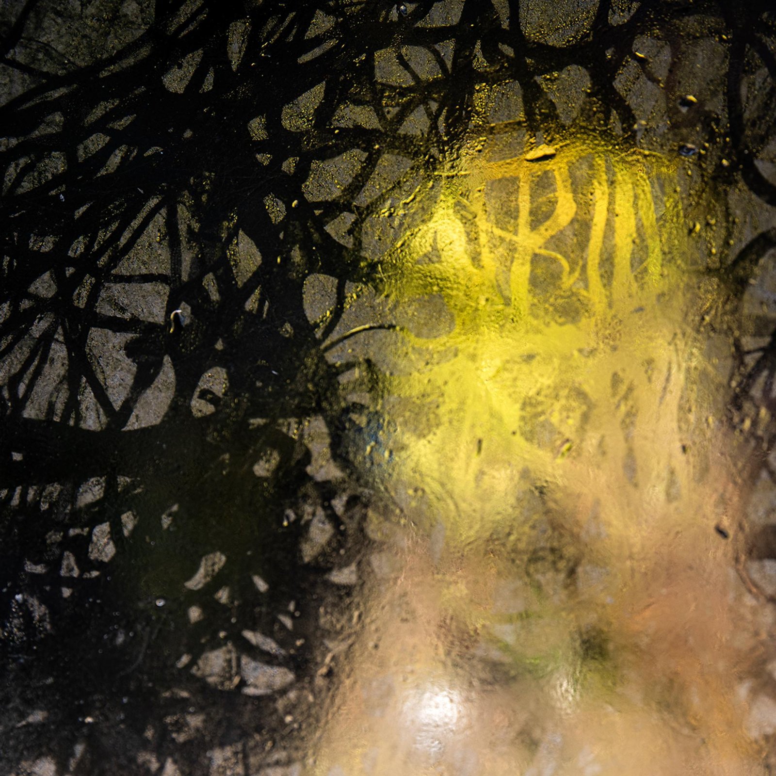London Photography Awards Winner - Water as a Scriptor: Citrinitas
