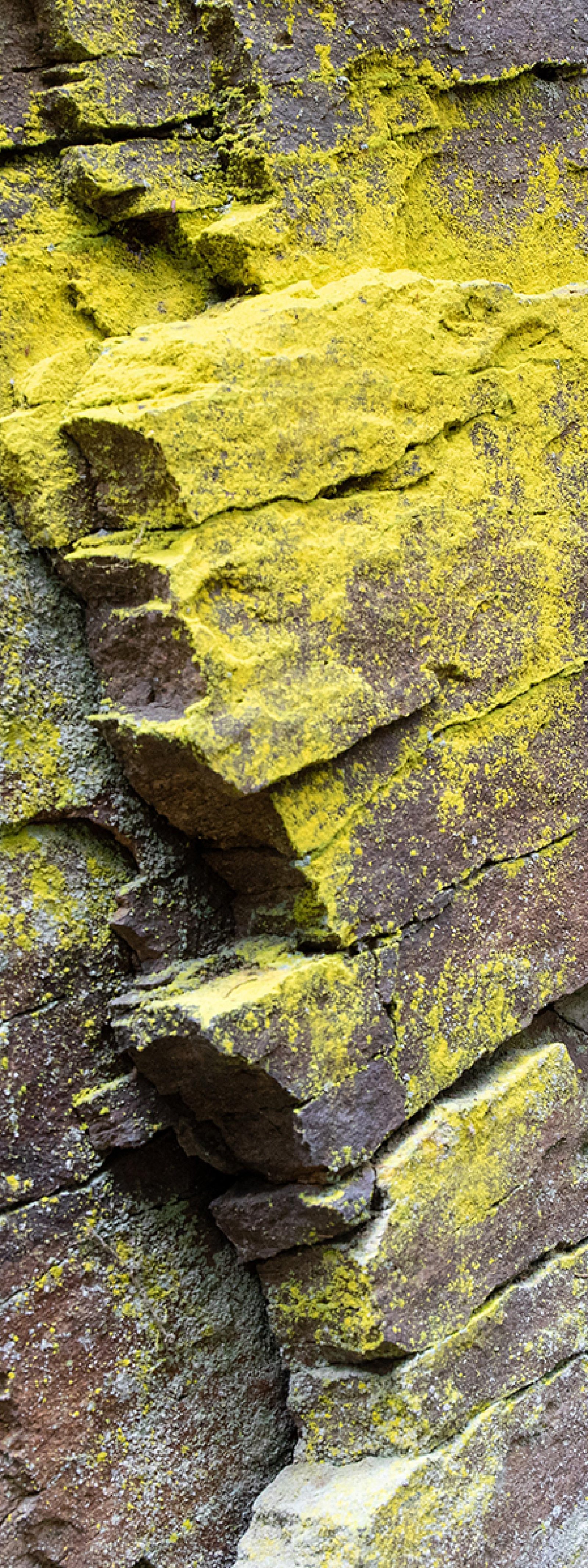 London Photography Awards Winner - The Four Elements: Vertical Voices. An Elemental Abstraction