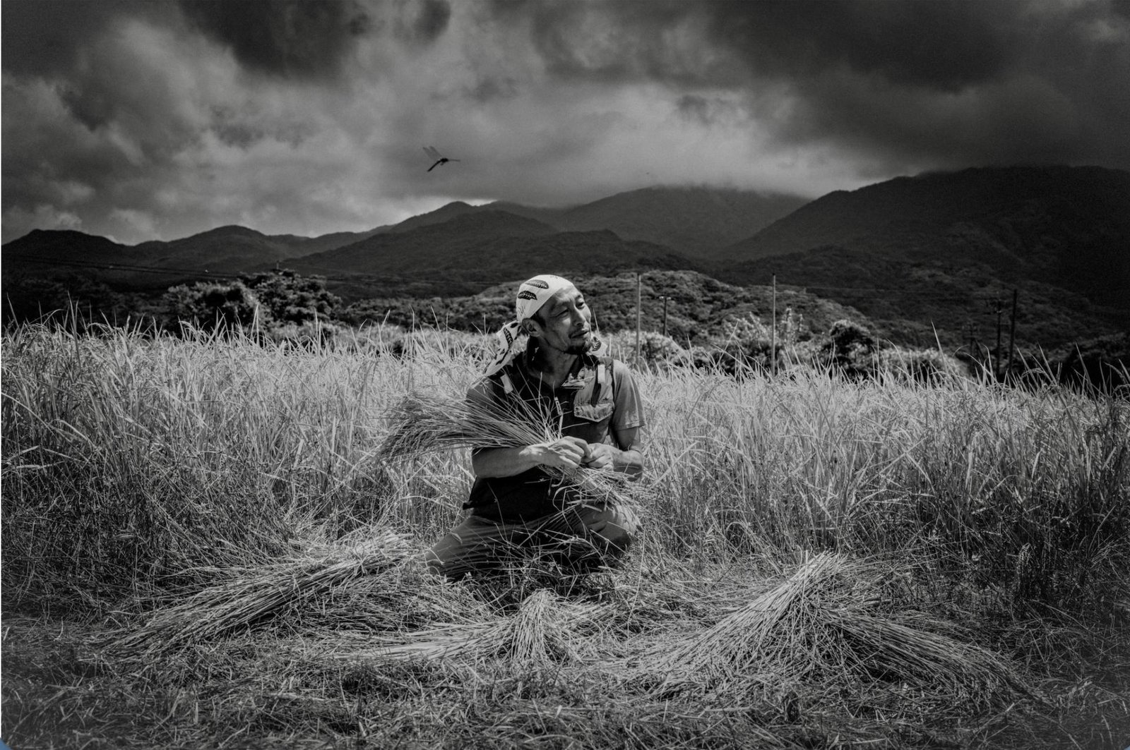 London Photography Awards Winner - Off the Beaten Track 