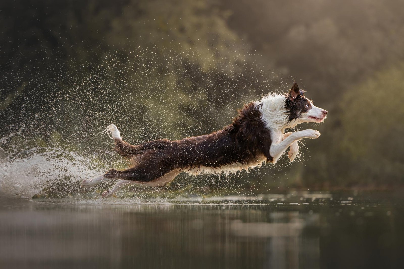 London Photography Awards Winner - Airborne Silence