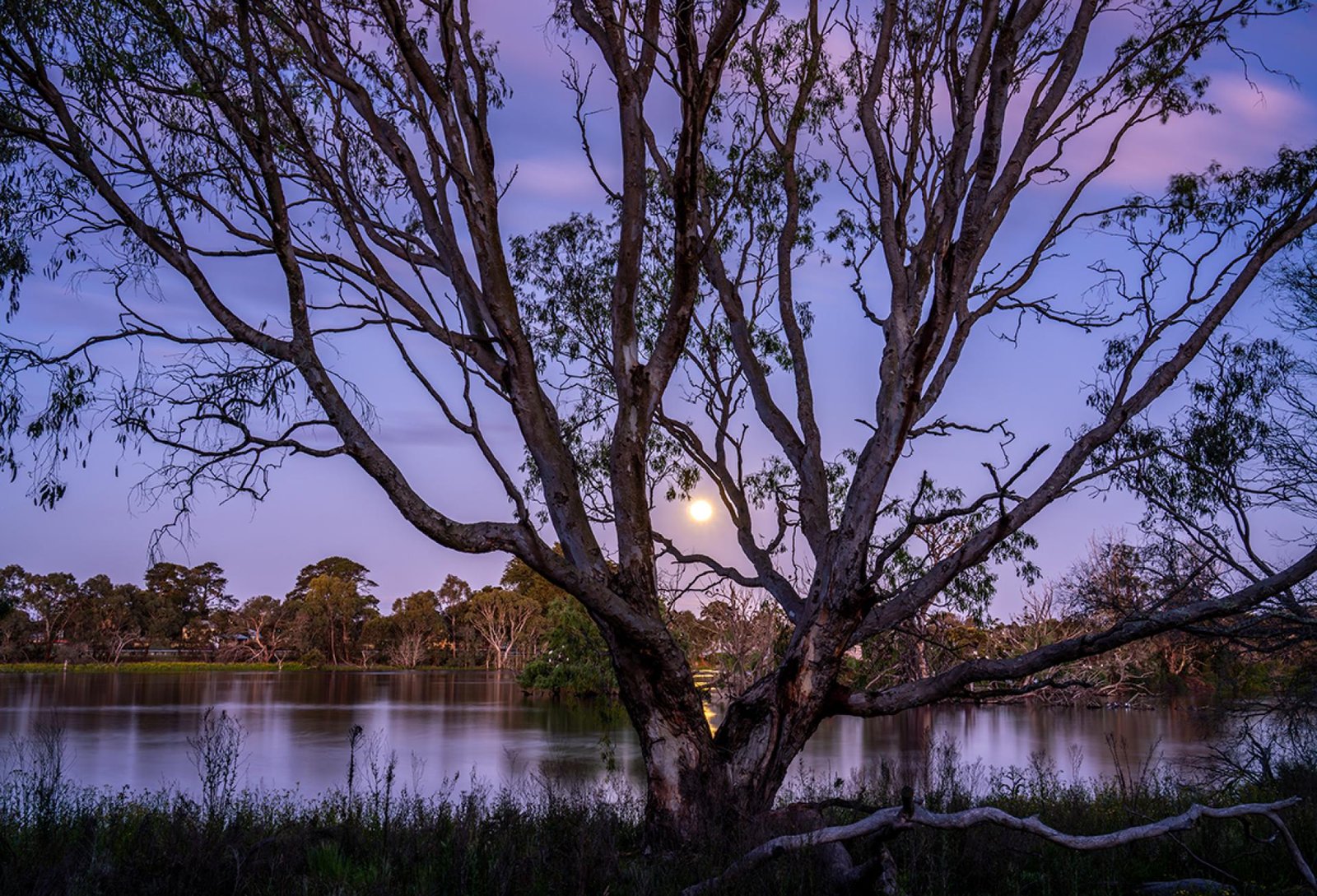 London Photography Awards Winner - Hunters Moon