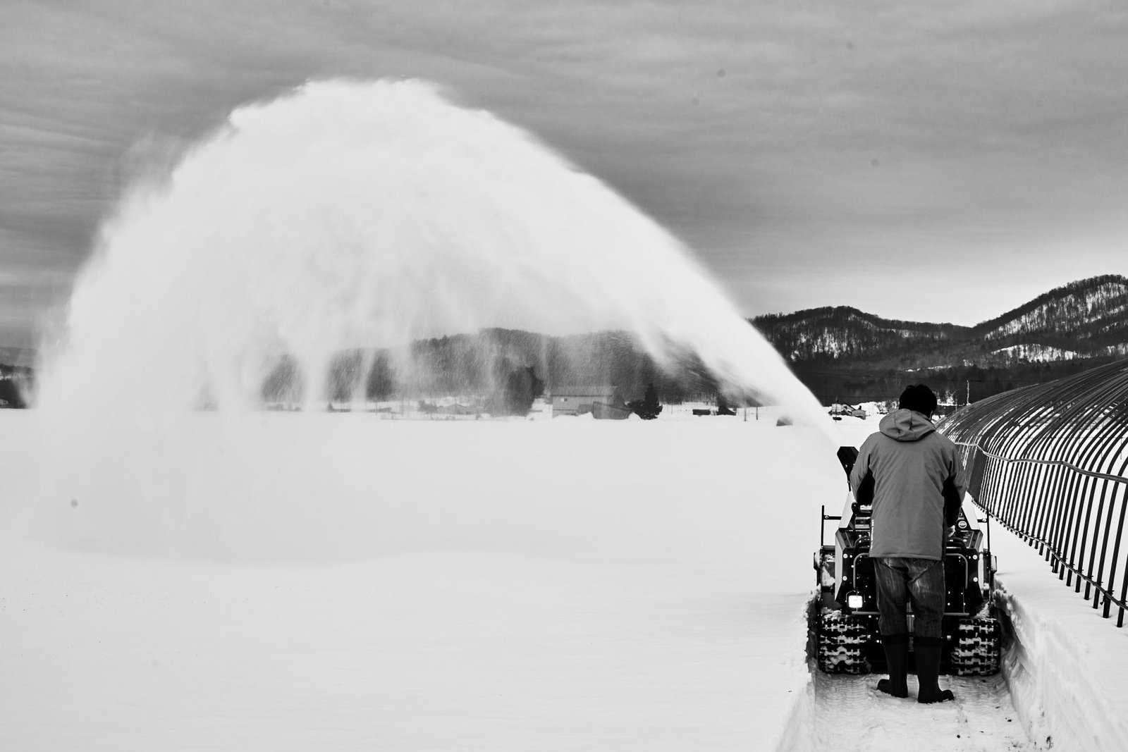 London Photography Awards Winner - Northern Rice Farmers