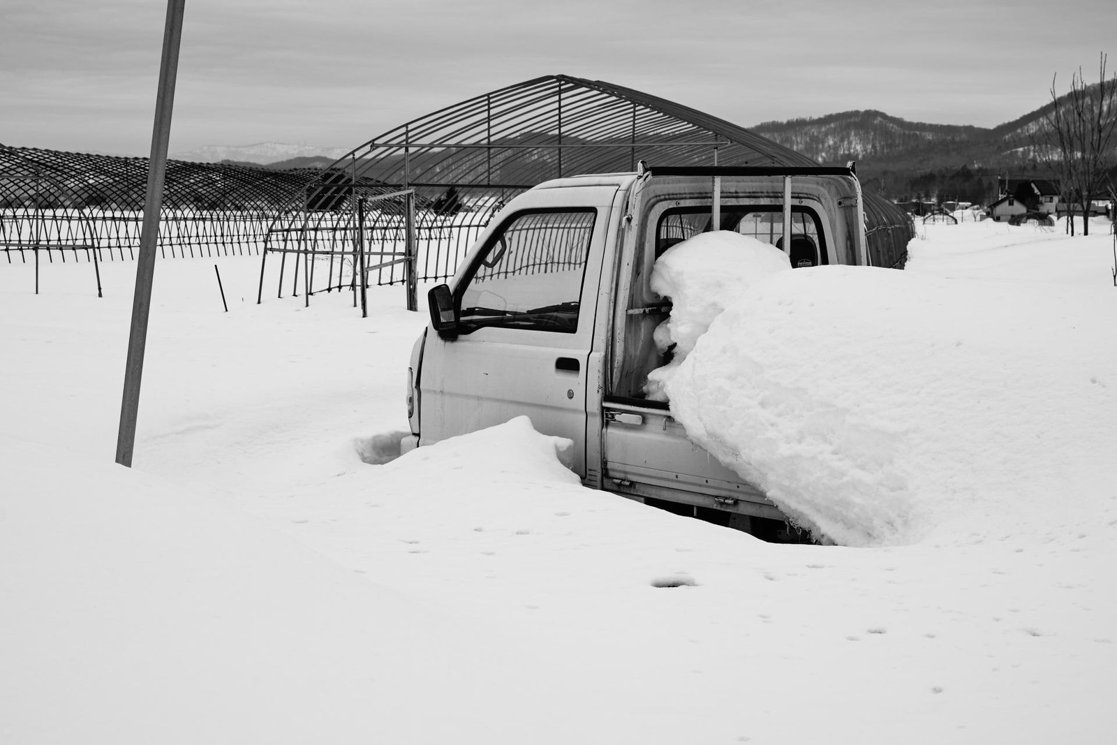 London Photography Awards Winner - Northern Rice Farmers