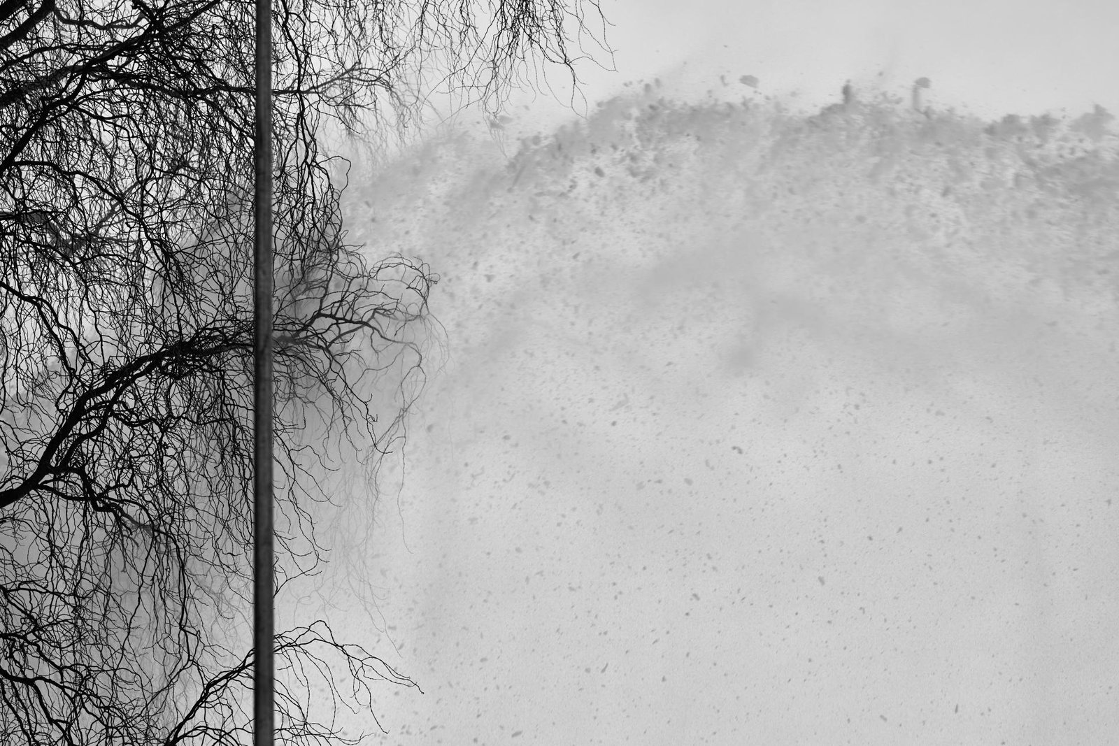 London Photography Awards Winner - Northern Rice Farmers