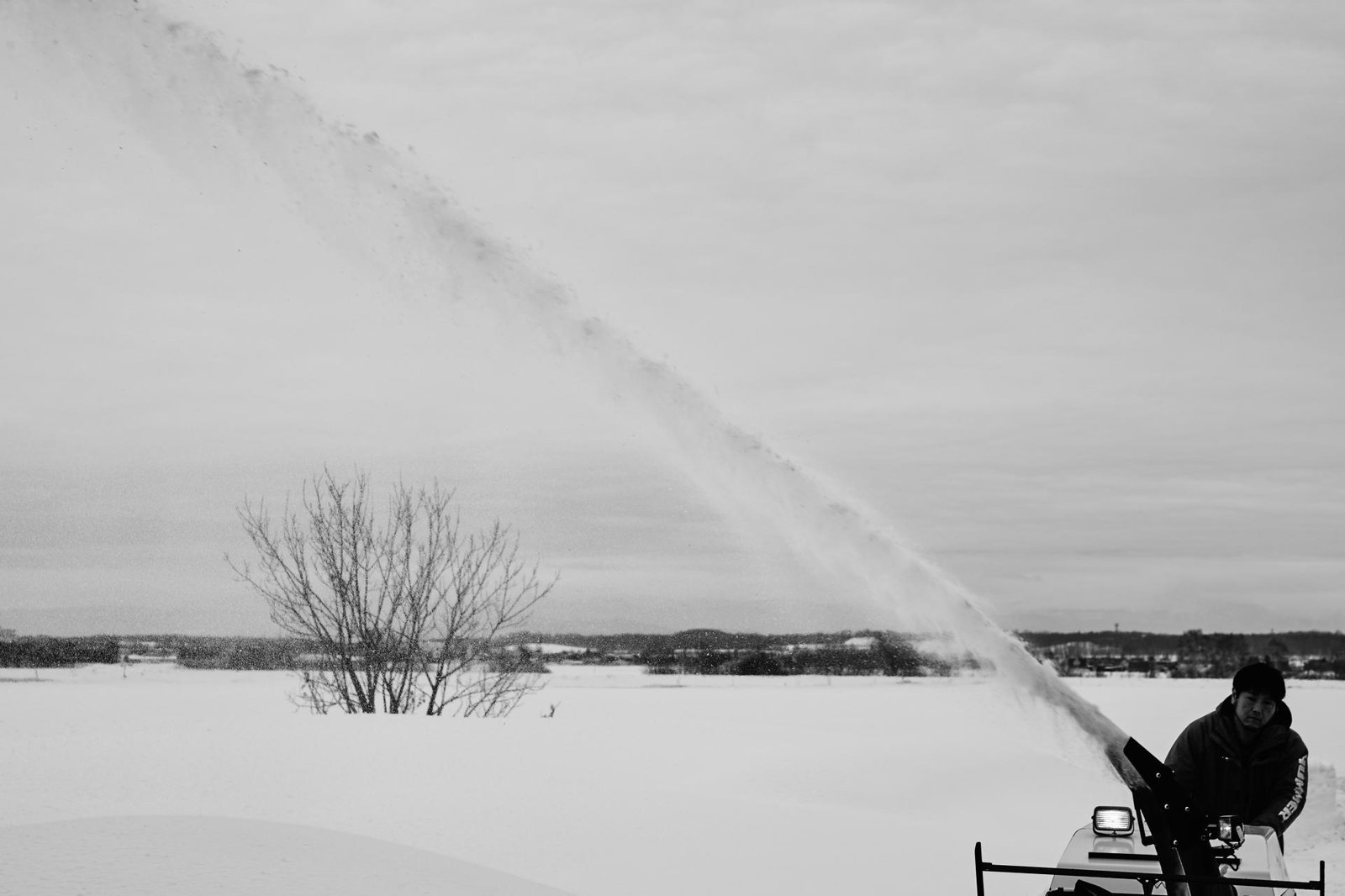 London Photography Awards Winner - Northern Rice Farmers