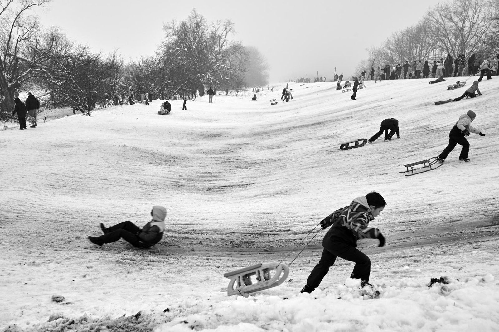 London Photography Awards Winner - Tobogganing
