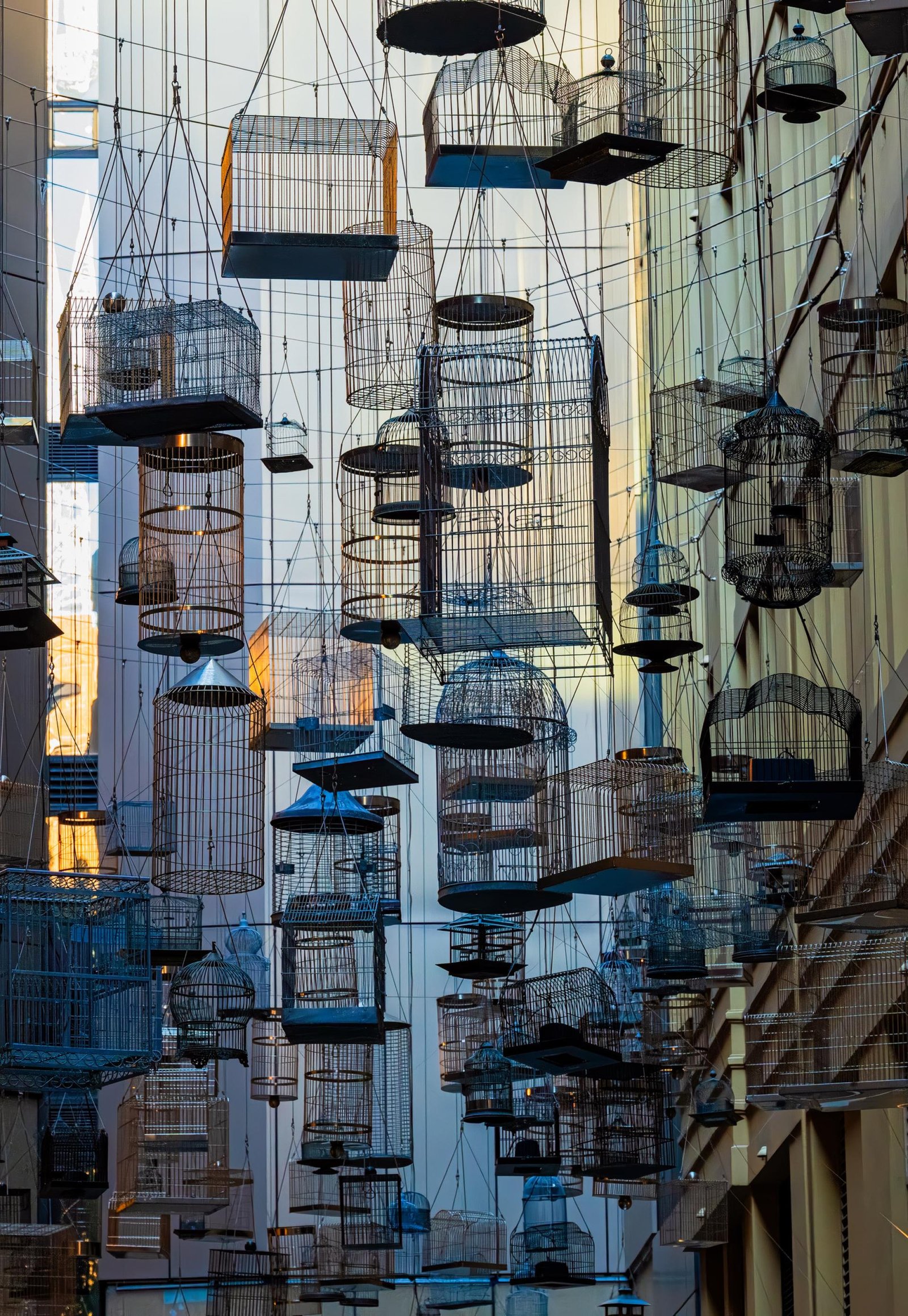 London Photography Awards Winner - 