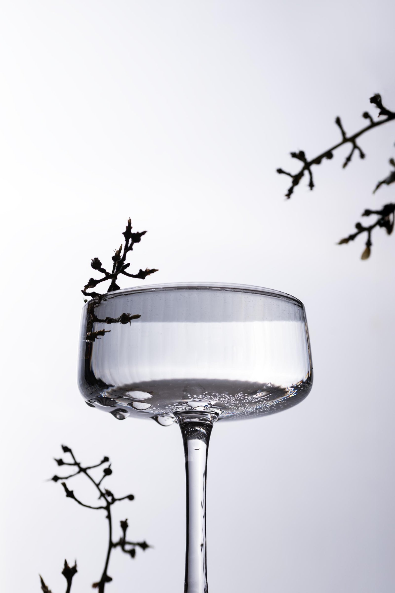 London Photography Awards Winner - Winter in a Glass