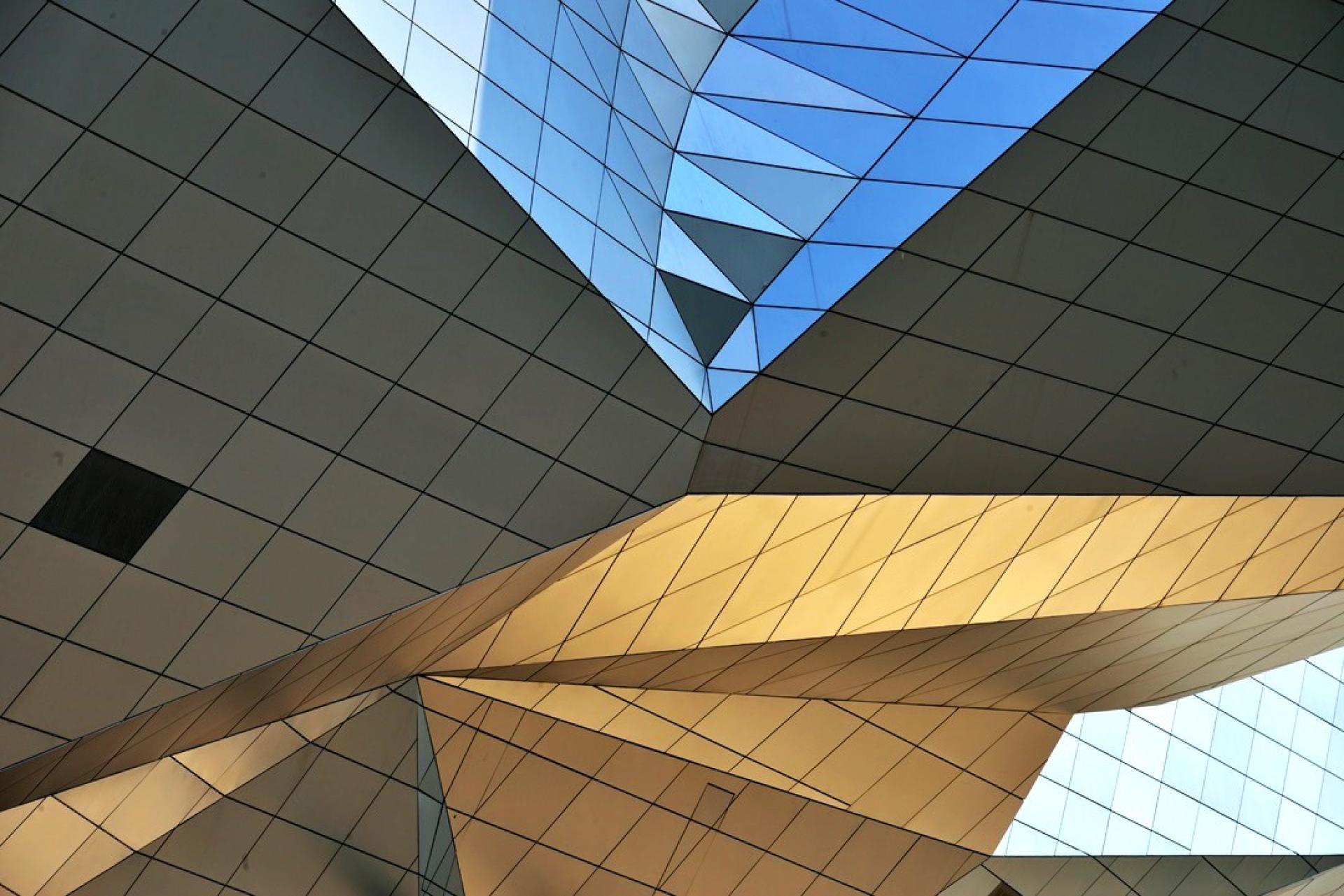 London Photography Awards Winner - Biocities (Skin of the cities)