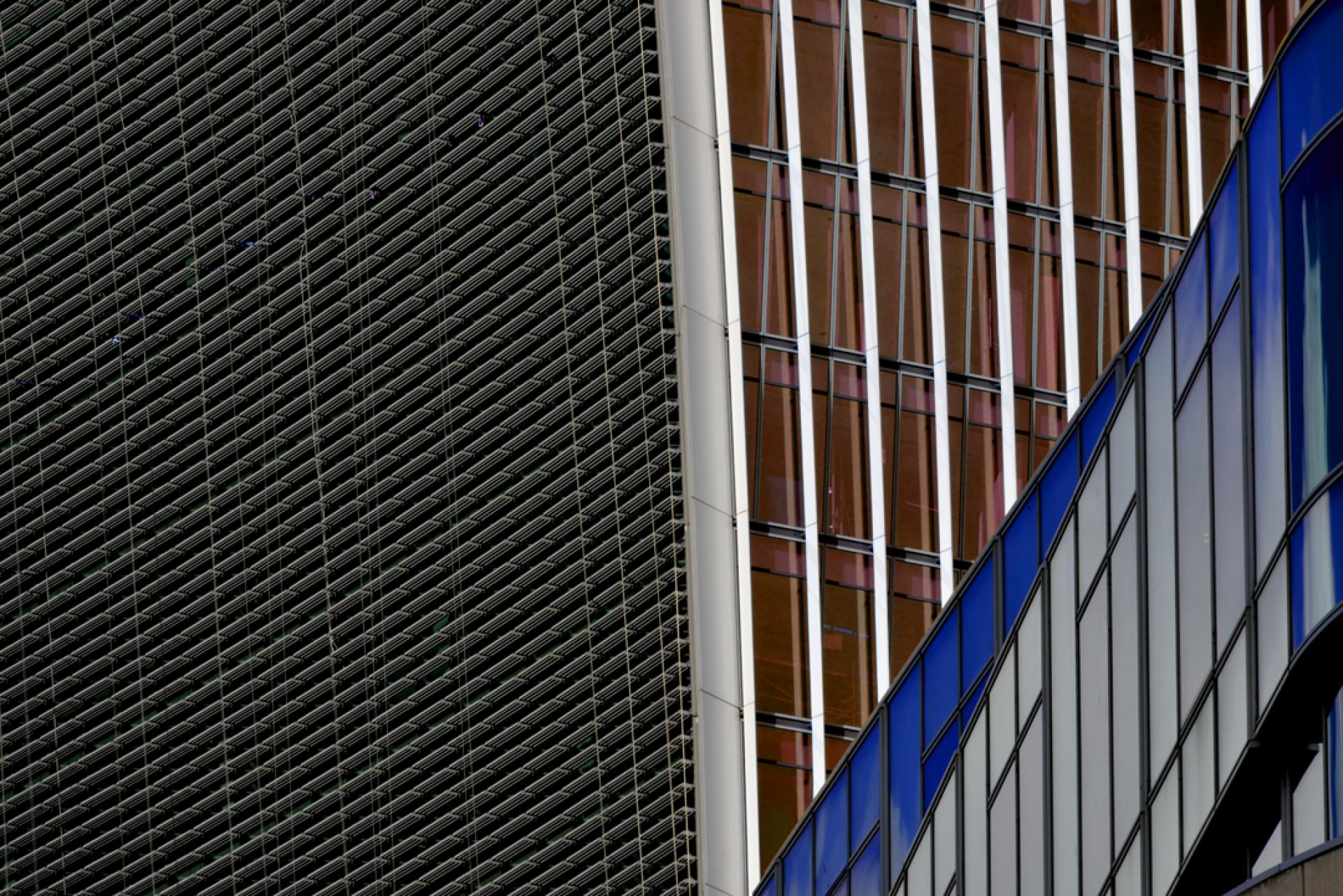 London Photography Awards Winner - Biocities (Skin of the cities)