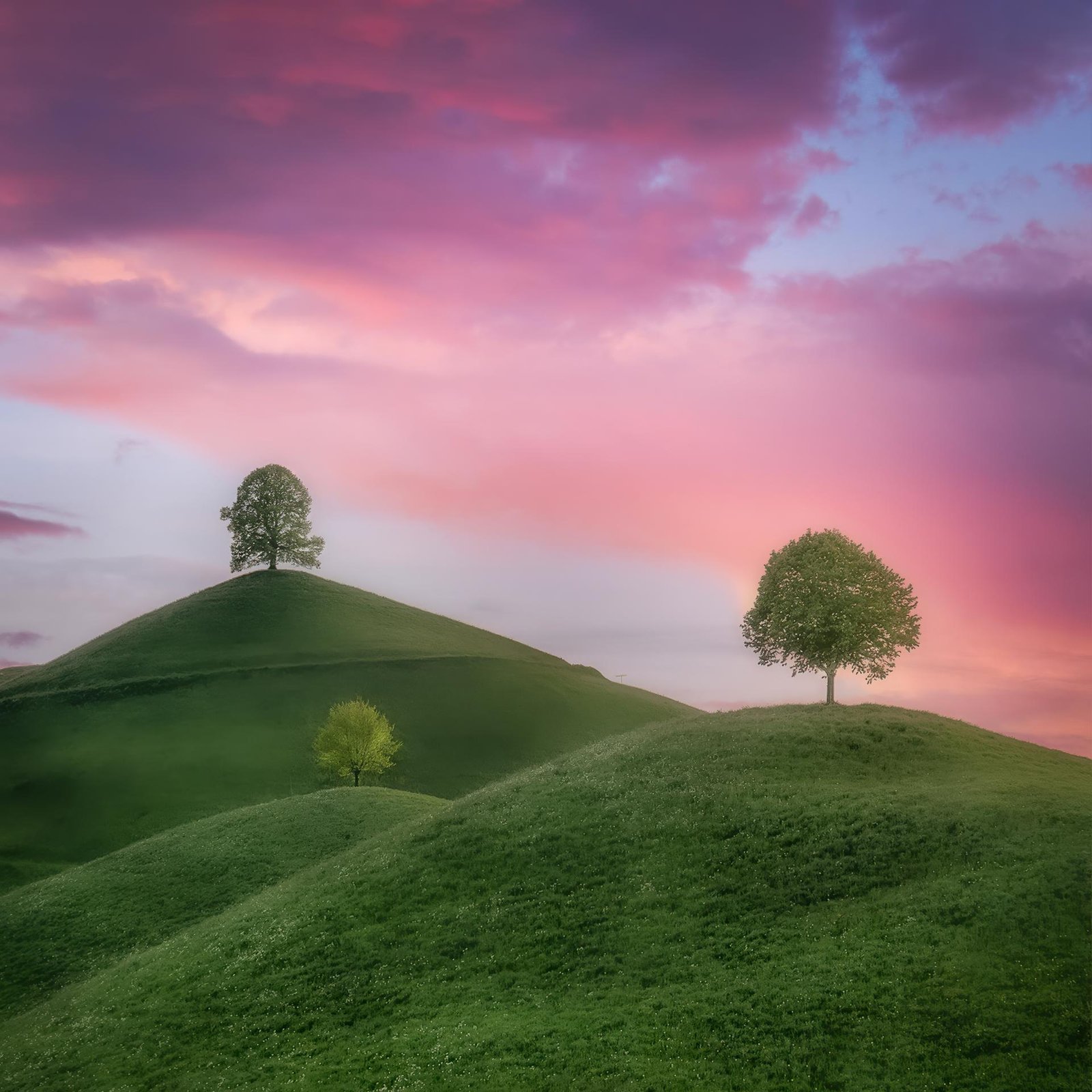 London Photography Awards Winner - Hirzel Hills