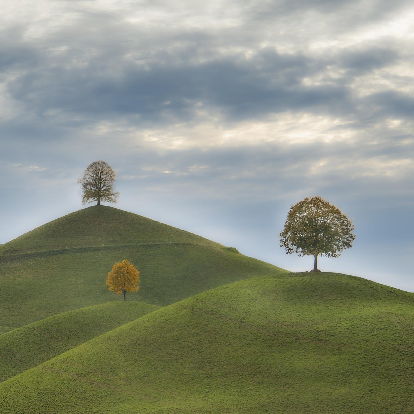 London Photography Awards Winner - Hirzel Hills