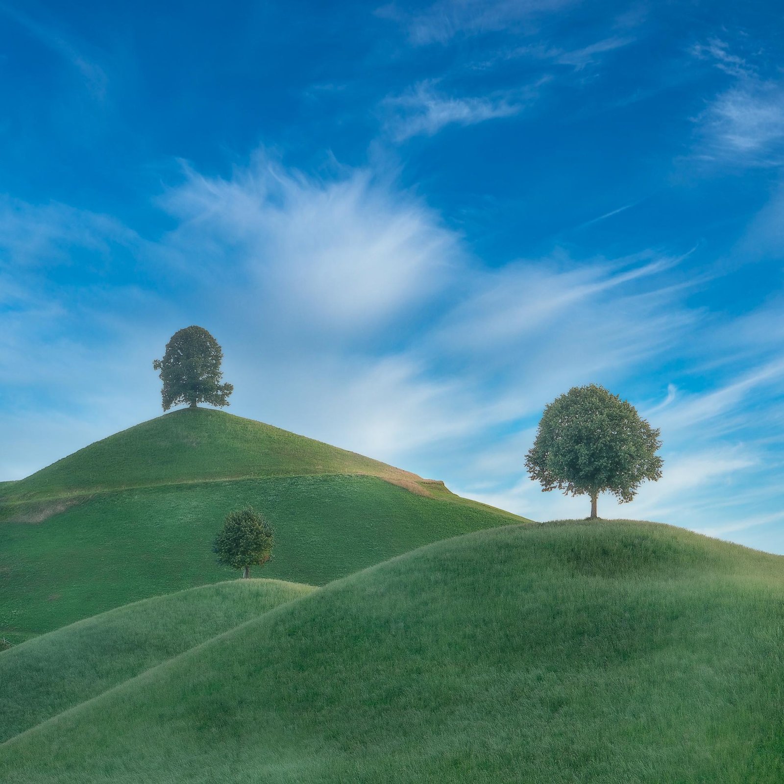 London Photography Awards Winner - Hirzel Hills
