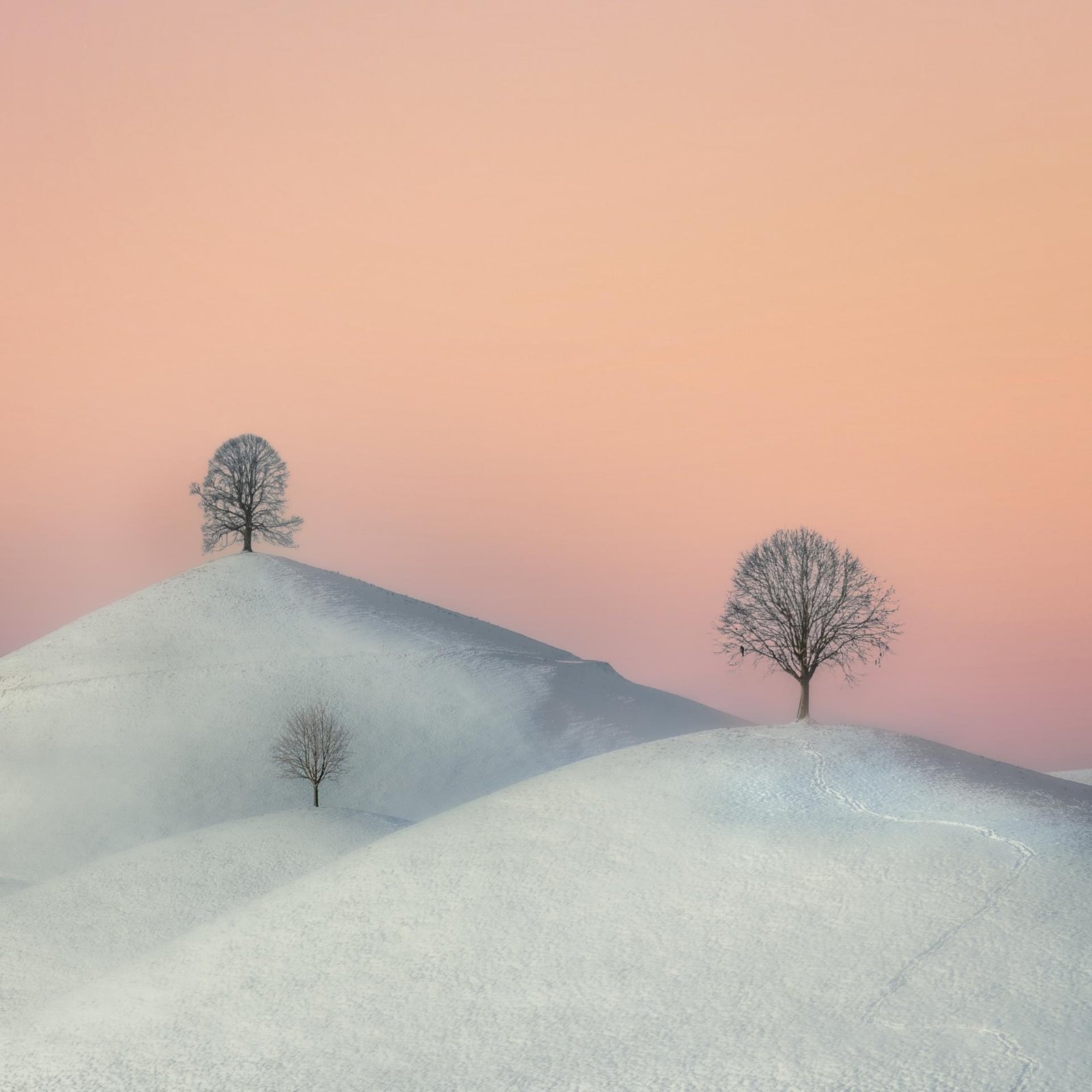 London Photography Awards Winner - Hirzel Hills