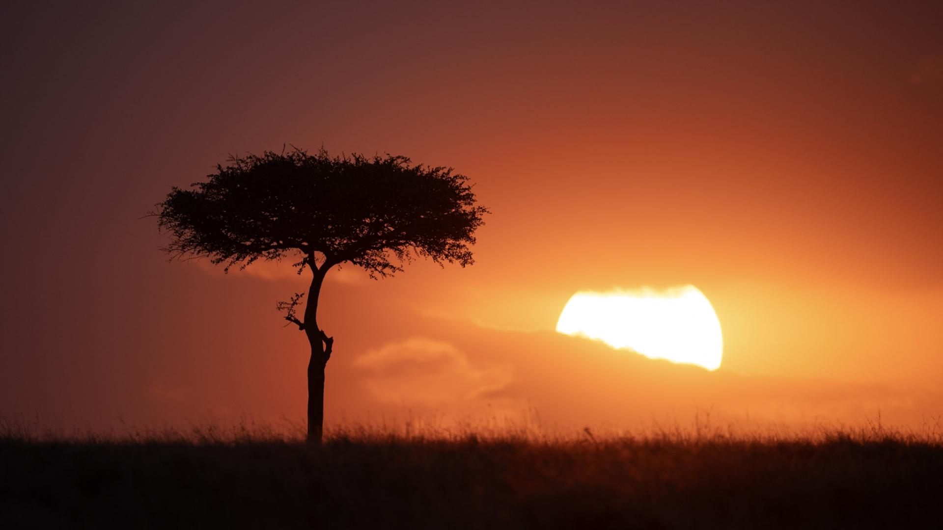 London Photography Awards Winner - Light and Legacy