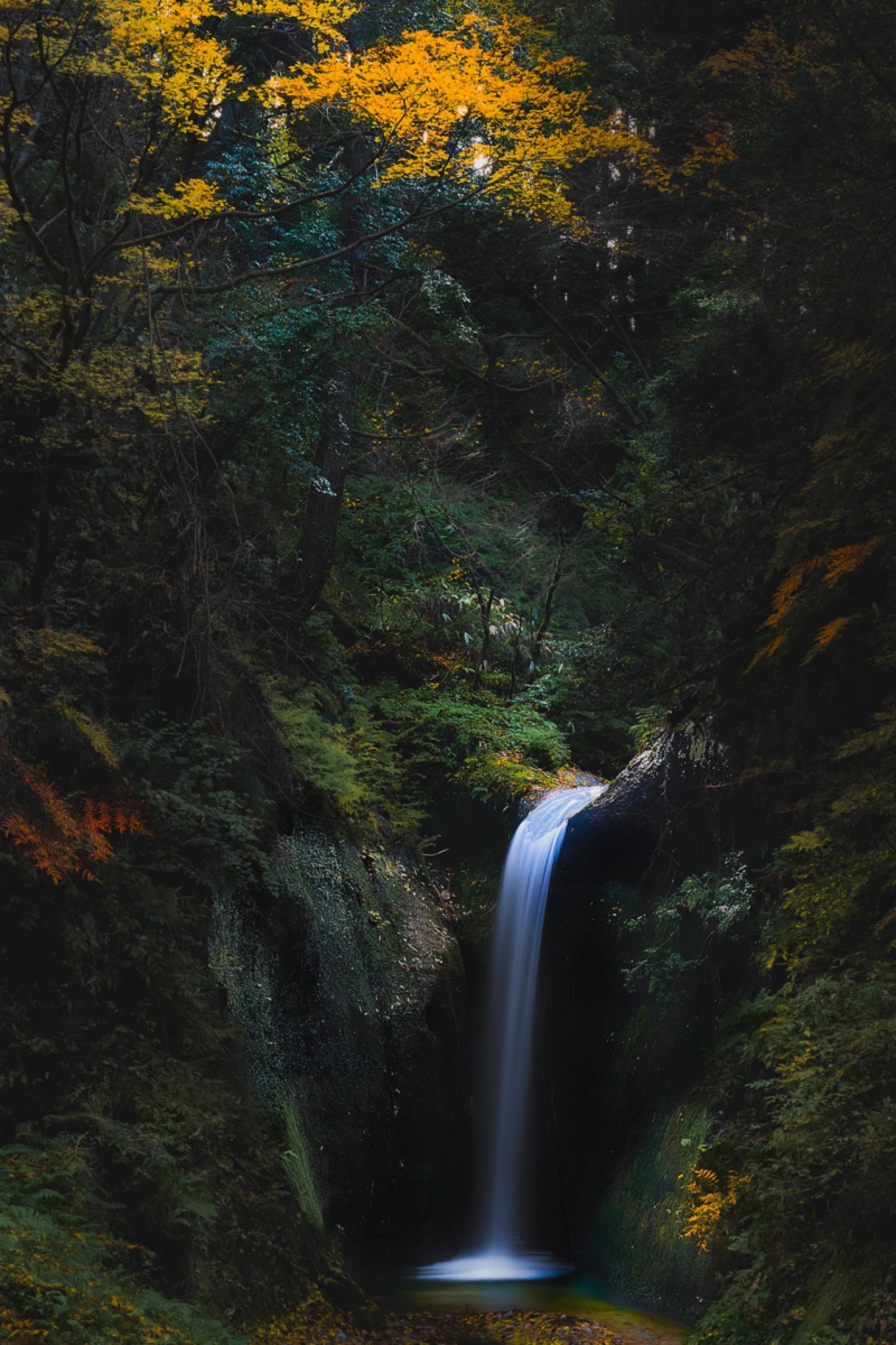 London Photography Awards Winner - Waterfalls where God dwells