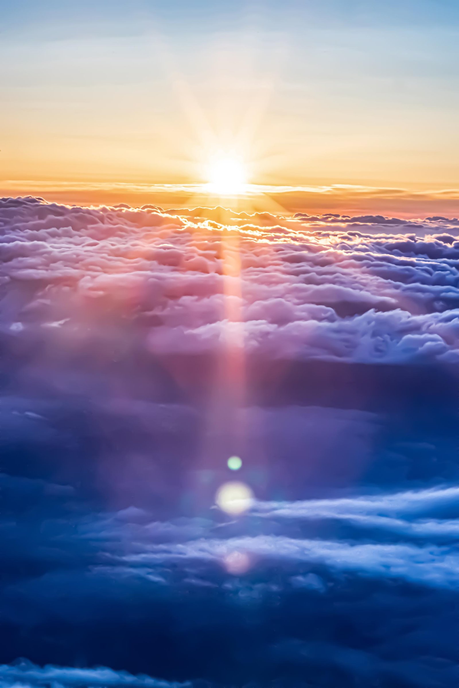 London Photography Awards Winner - The Sun Also Rises