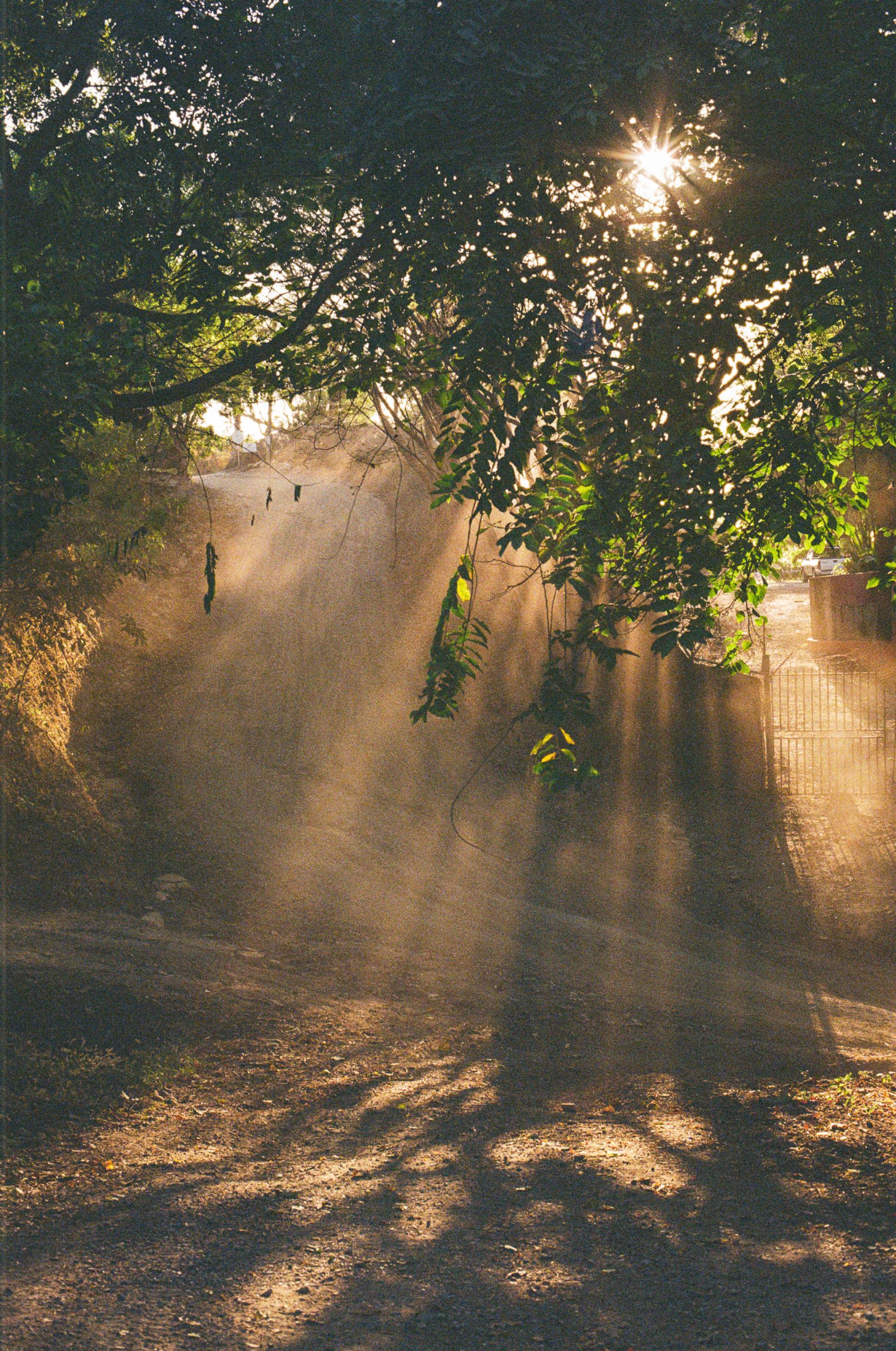 London Photography Awards Winner - Where Light Falls