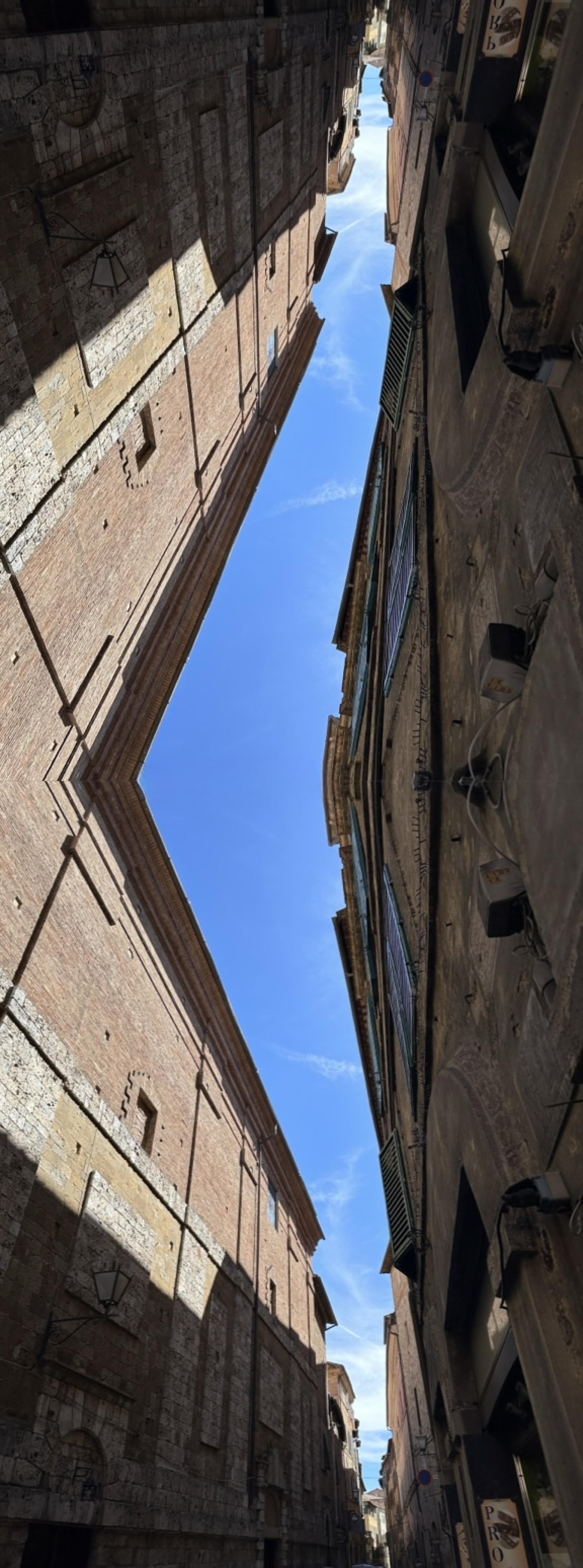 London Photography Awards Winner - REACHING FOR AIR