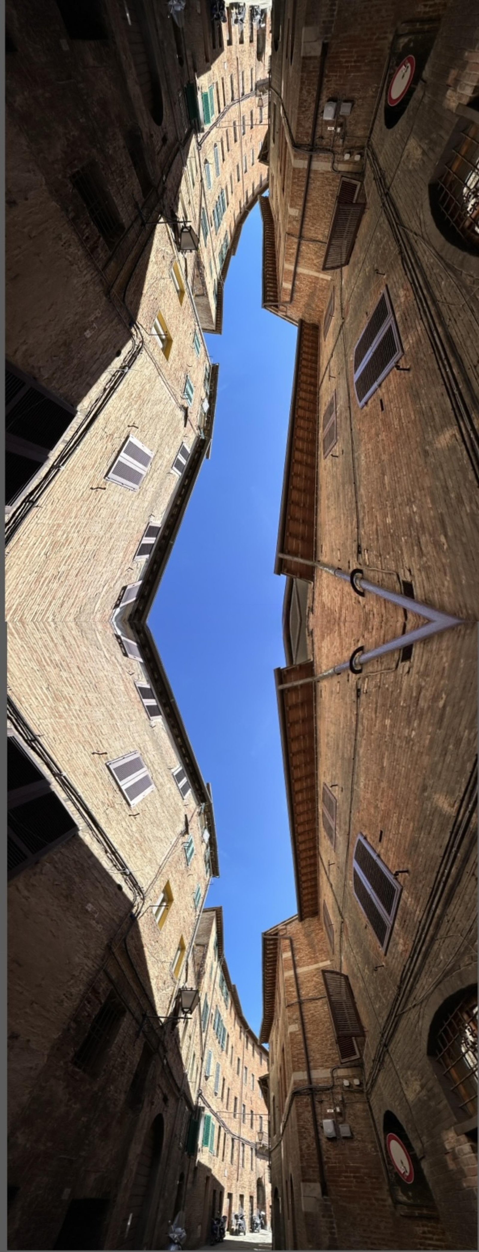 London Photography Awards Winner - REACHING FOR AIR