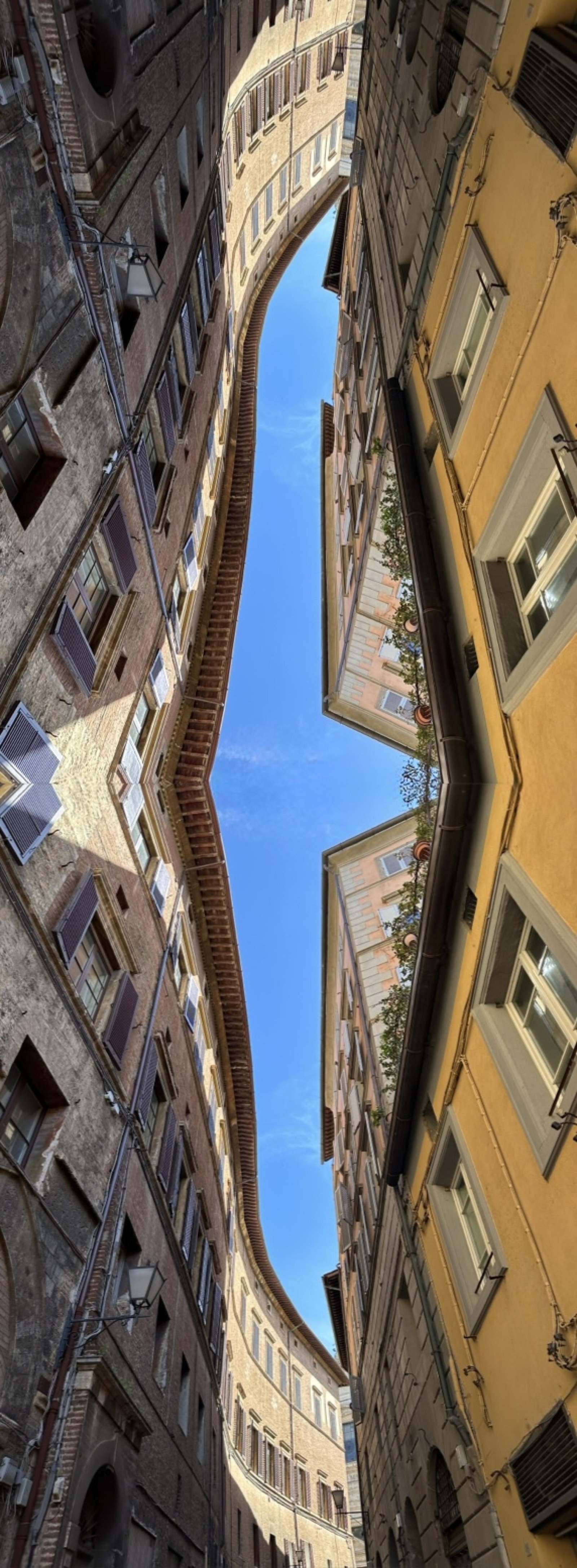London Photography Awards Winner - REACHING FOR AIR