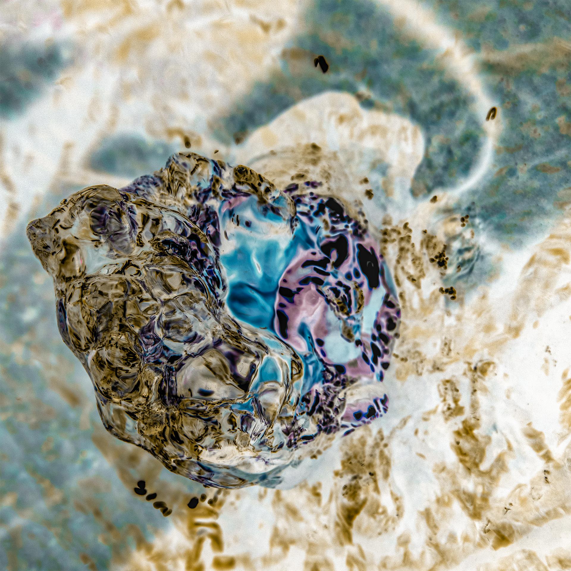 London Photography Awards Winner - Source Phantom
