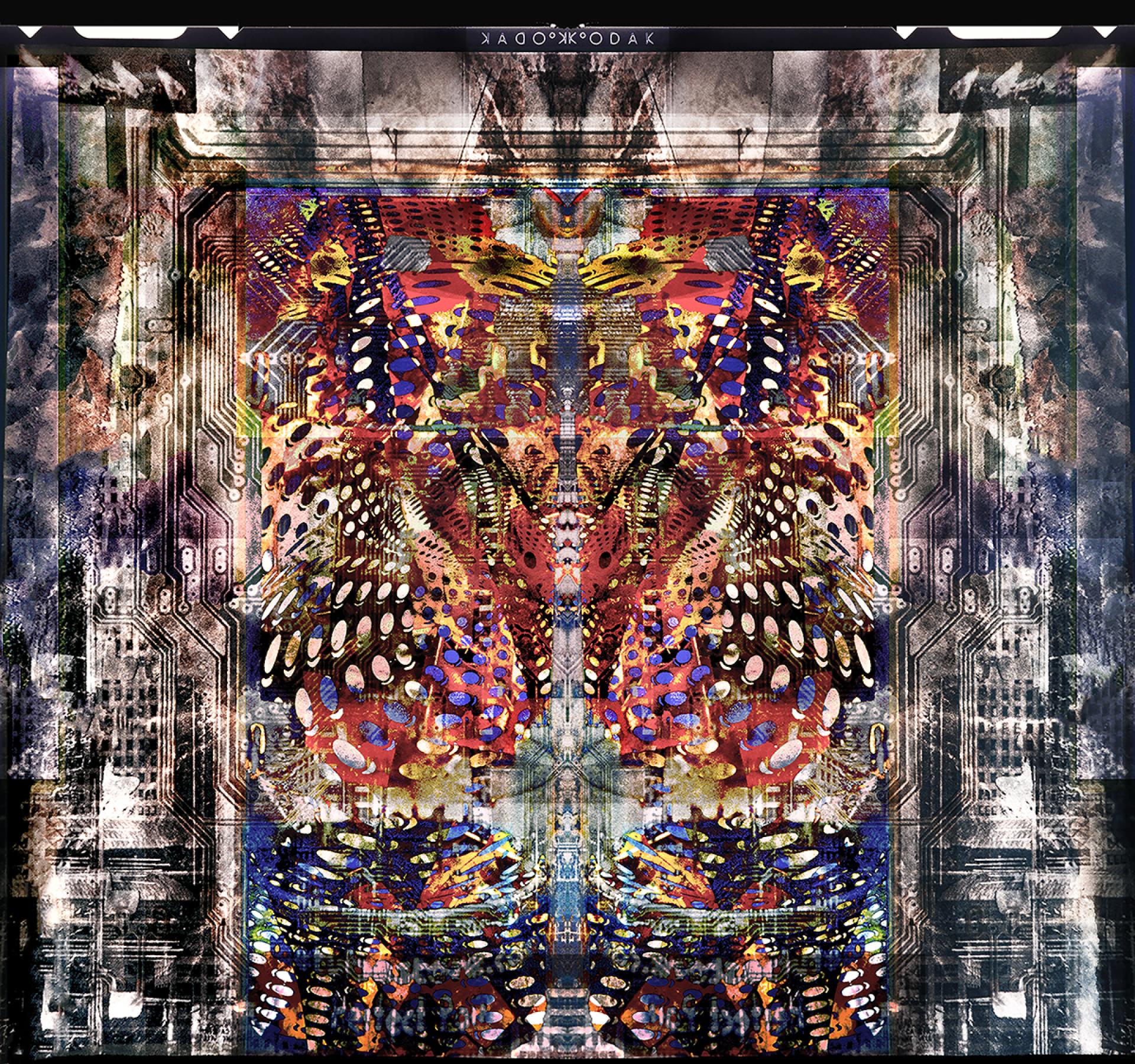 London Photography Awards Winner - Optical Illustration Series 1
