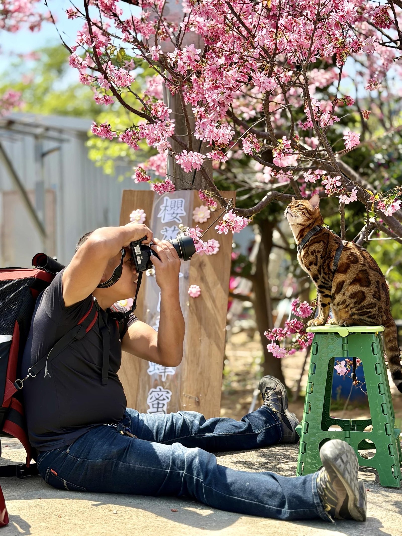 London Photography Awards Winner - Micro-Warmth Under the Cherry Blossoms