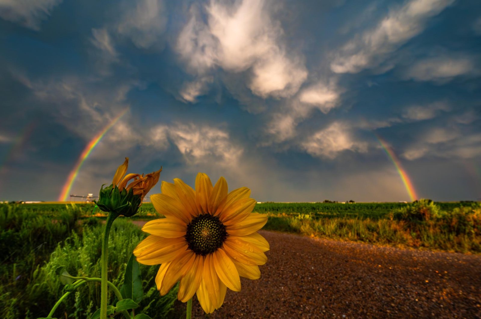 London Photography Awards Winner - The Solitude of Storms