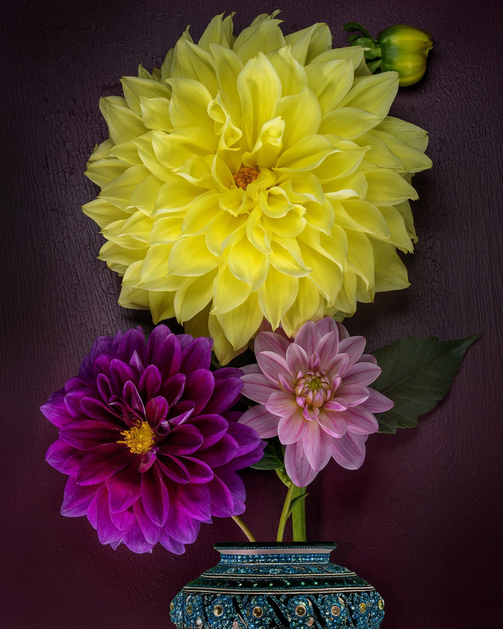 London Photography Awards Winner - Flower Portraits
