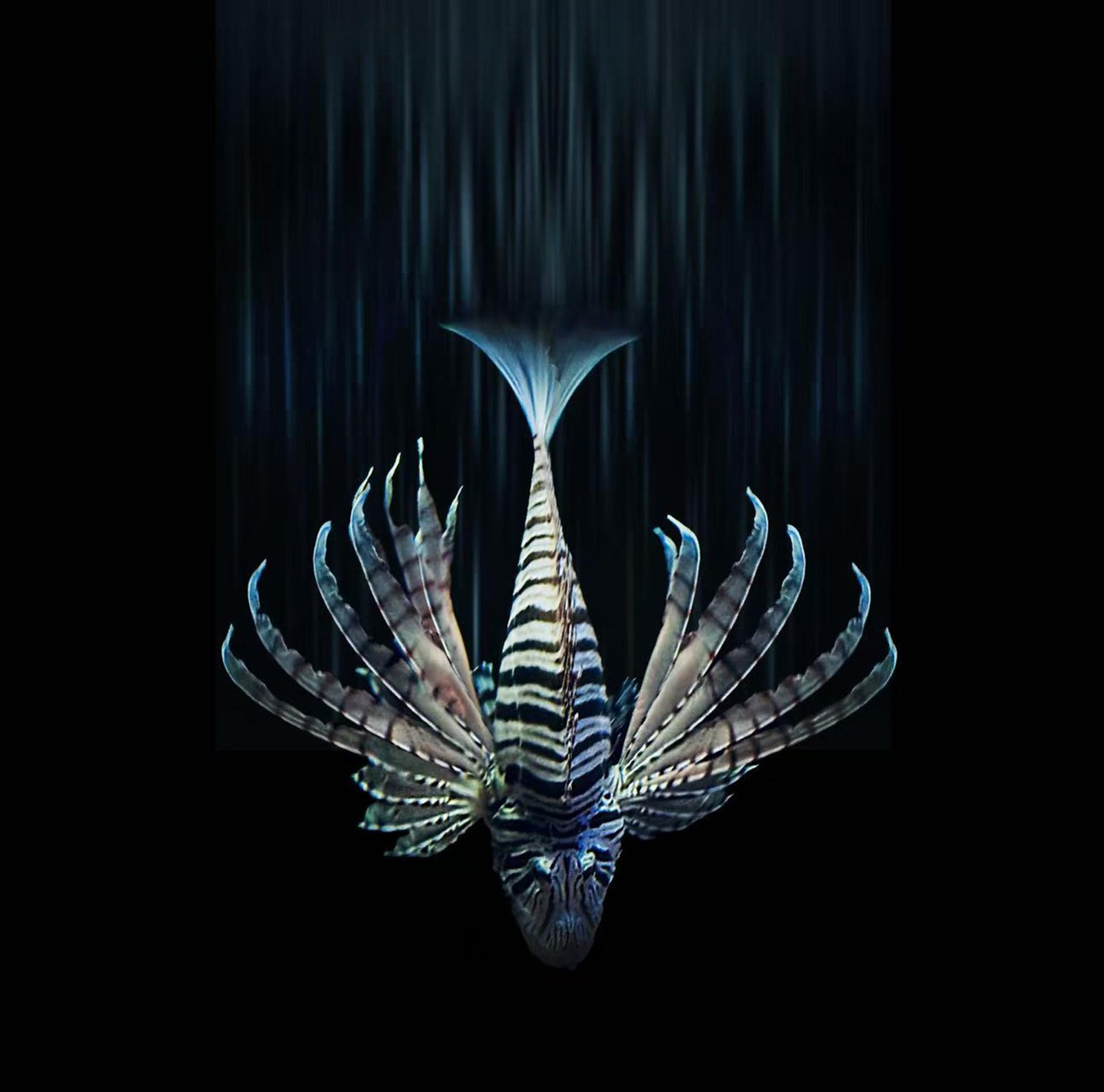 London Photography Awards Winner - The Beauty of the Deep