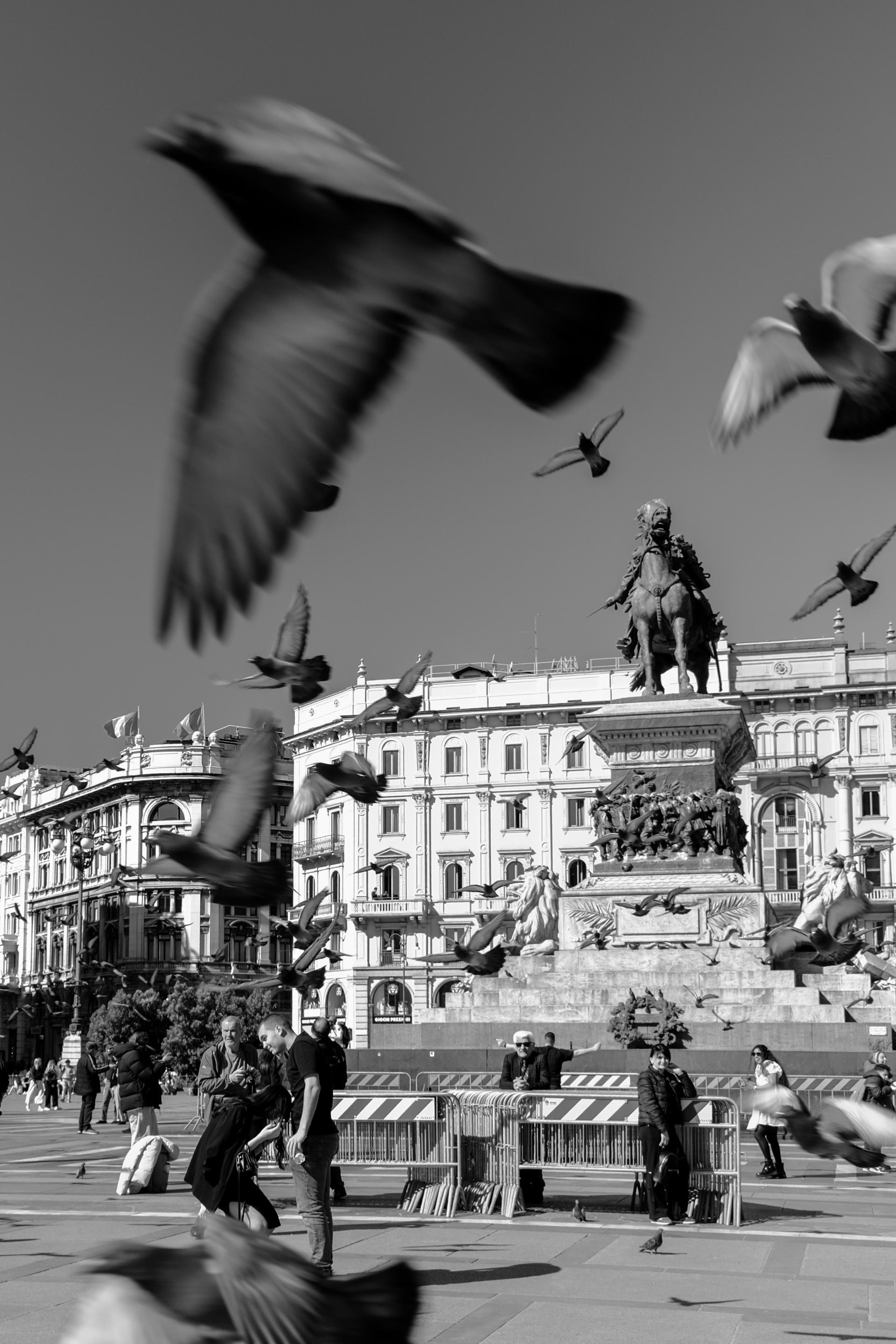 London Photography Awards Winner - Catching Eternity