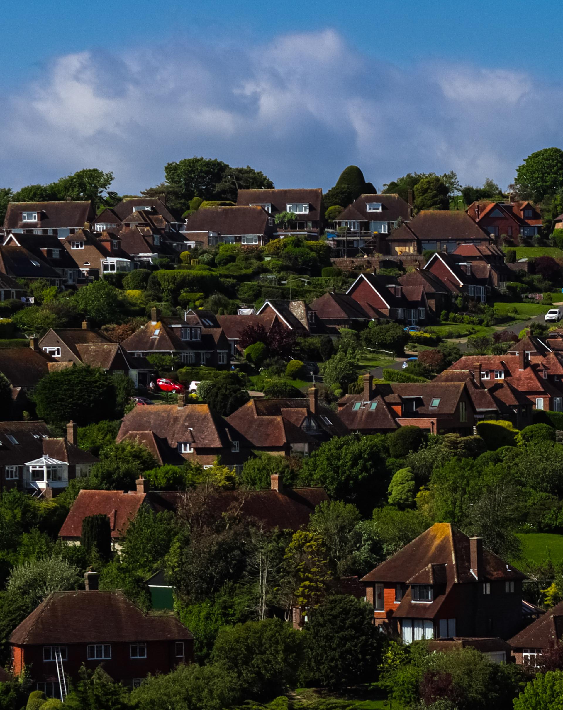 London Photography Awards Winner - Living Harmony