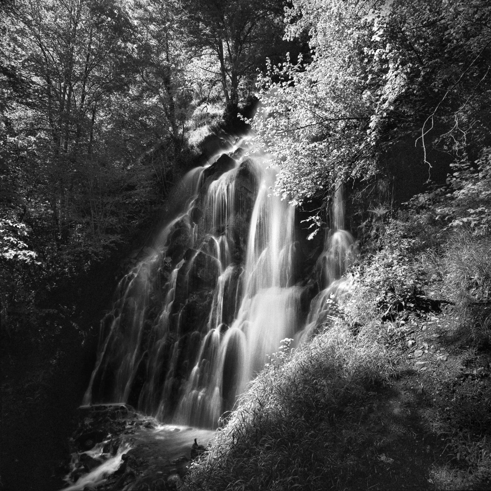 London Photography Awards Winner - PRINCIPALITY OF ASTURIAS NATURAL PARKS (NW SPAIN)