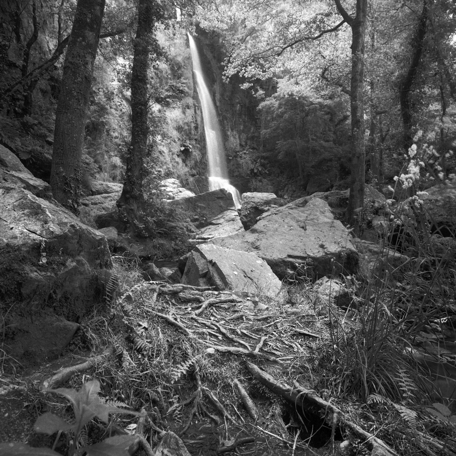London Photography Awards Winner - PRINCIPALITY OF ASTURIAS NATURAL PARKS (NW SPAIN)
