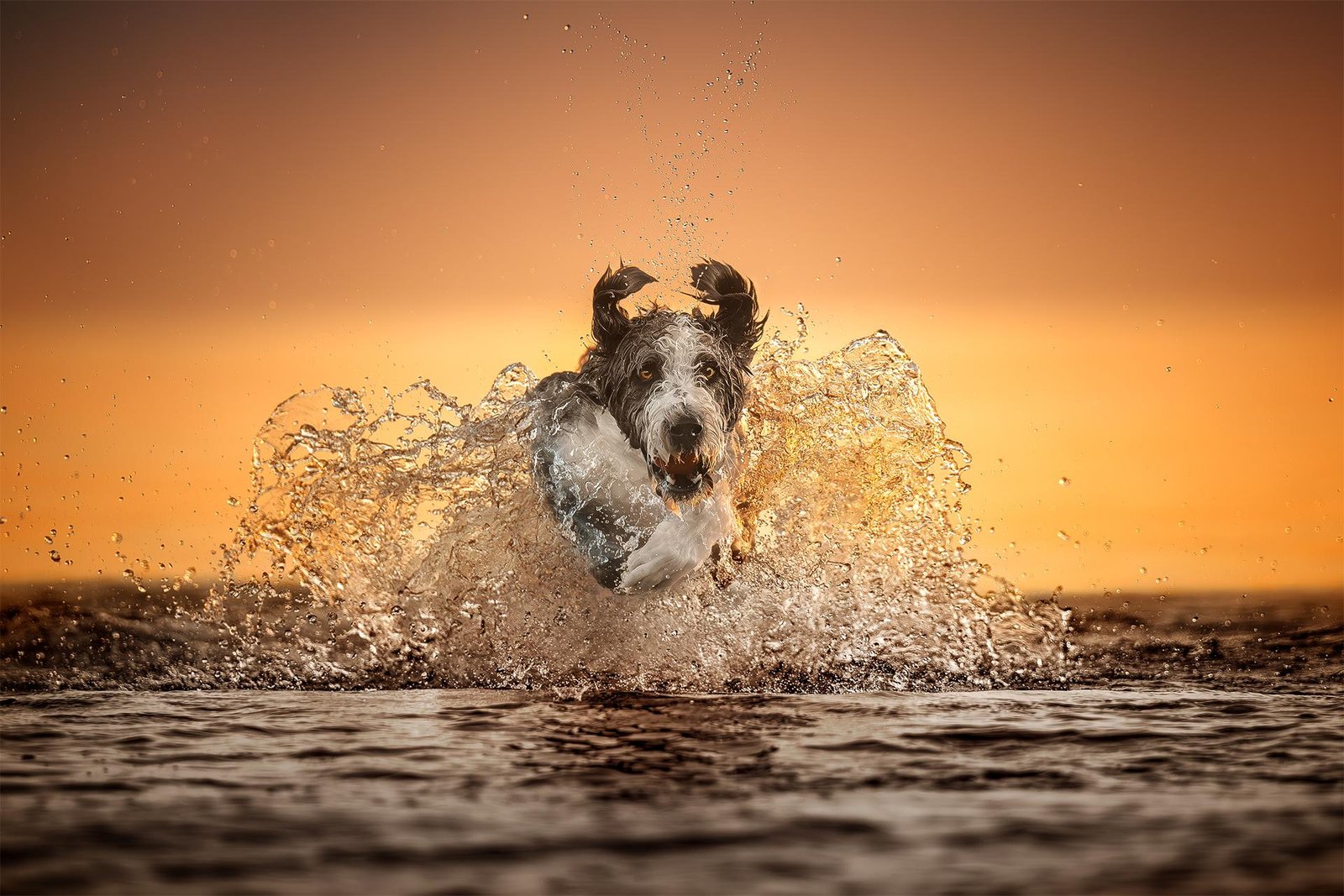 London Photography Awards Winner - Sunrise Splash