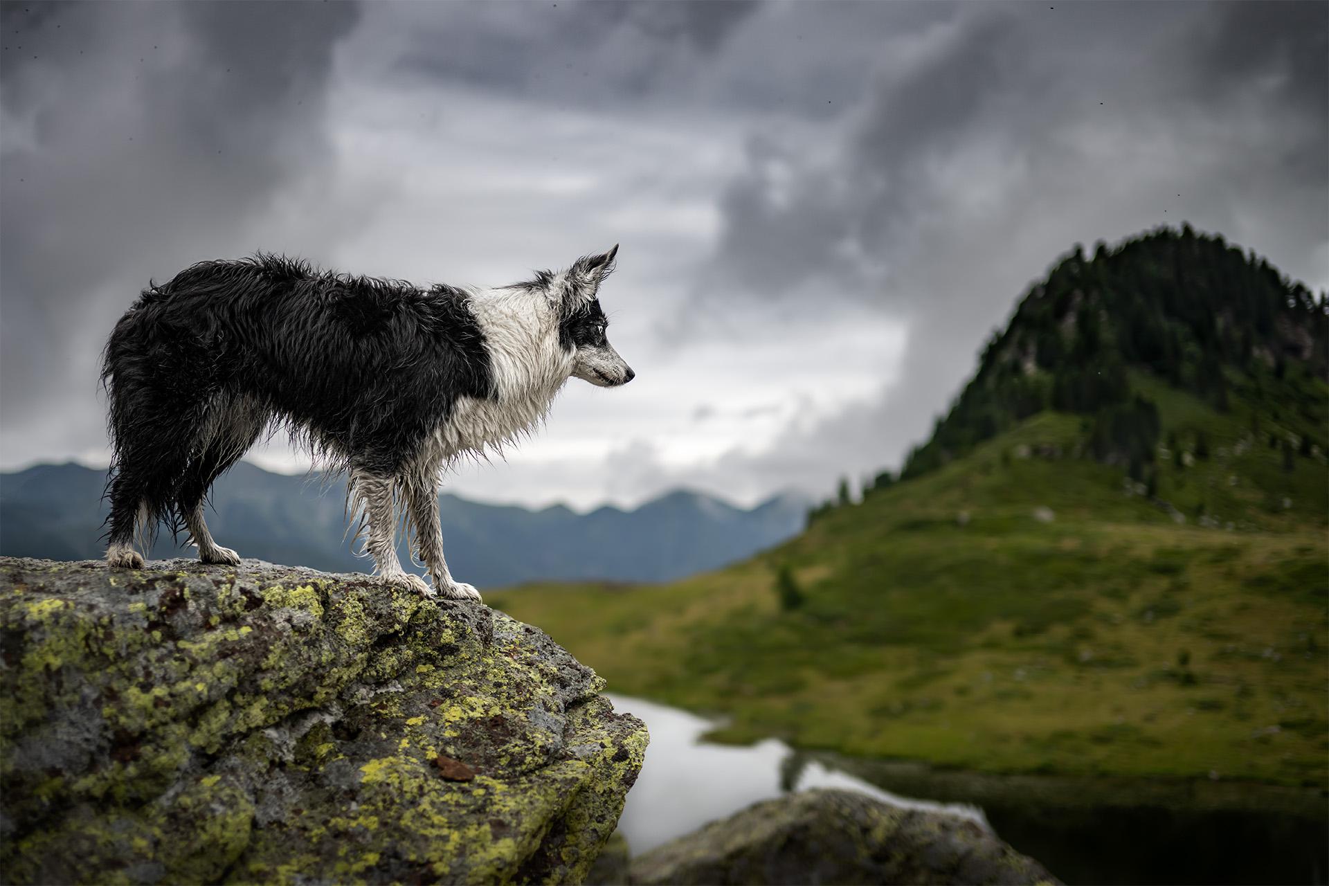 London Photography Awards Winner - Edge of Unknown