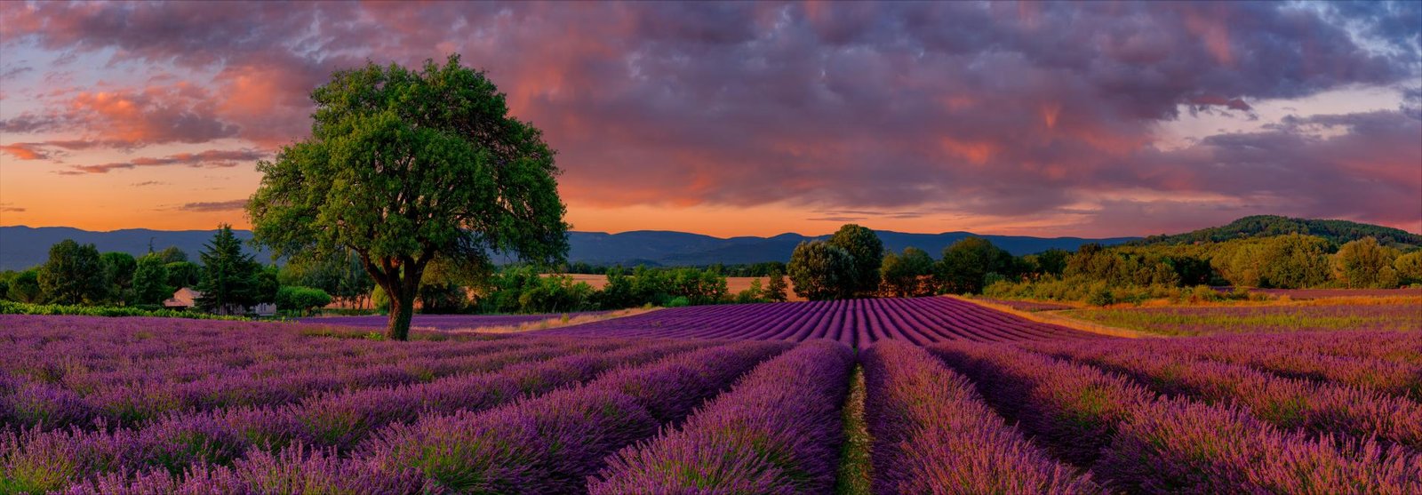 London Photography Awards Winner - An Evening in France