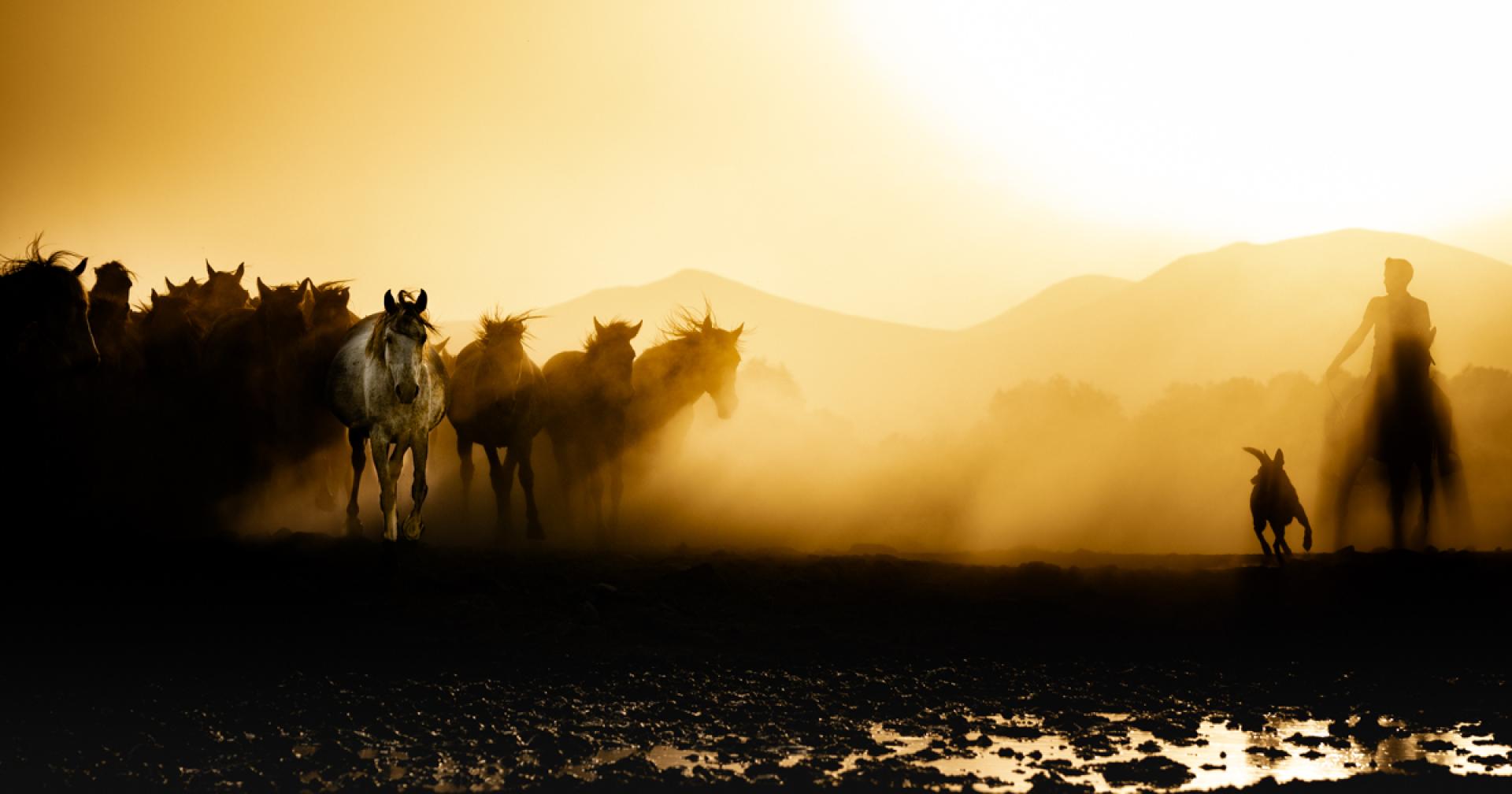 London Photography Awards Winner - Dust Carries The Light